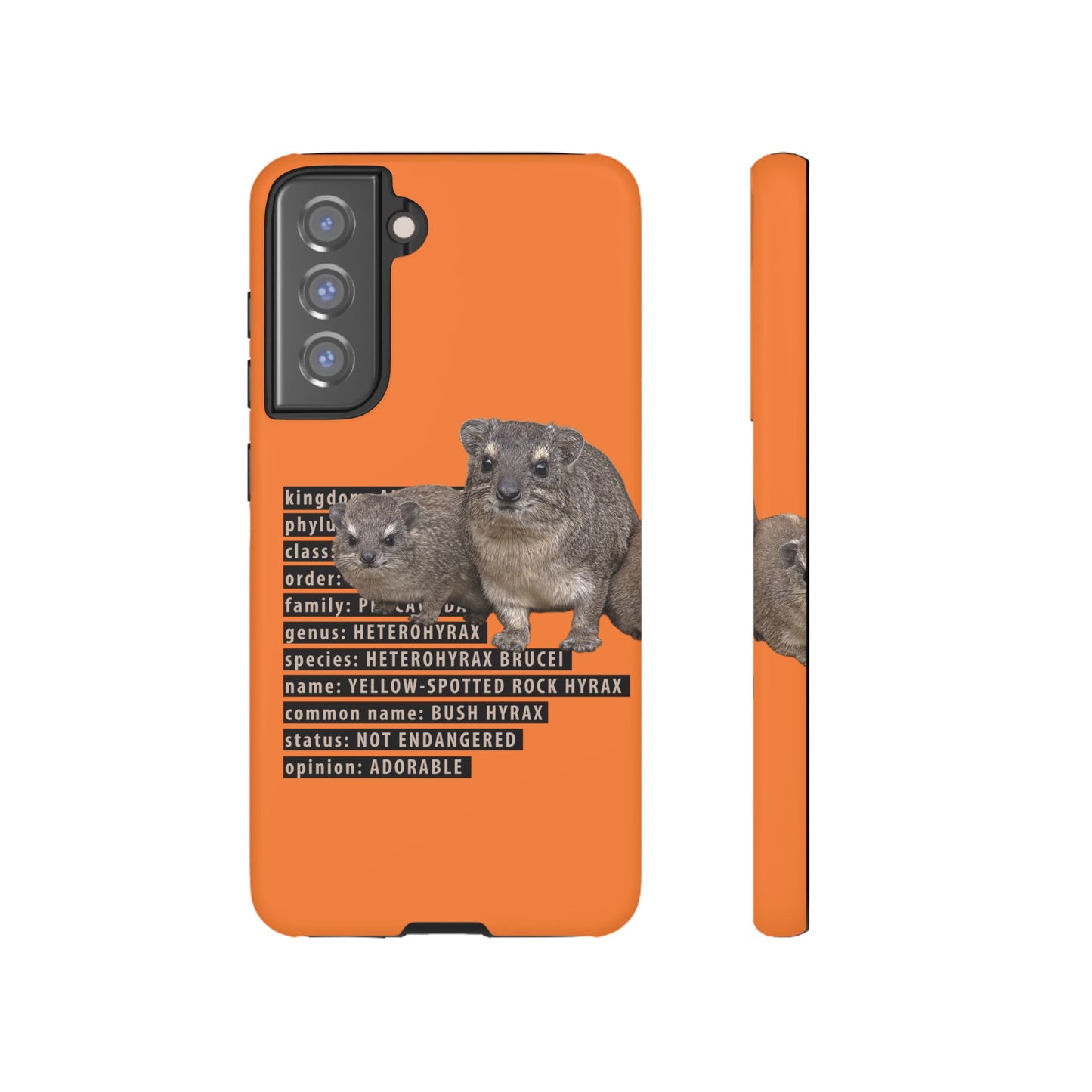 Hyrax Taxonomic Hierarchy Phone Cases
