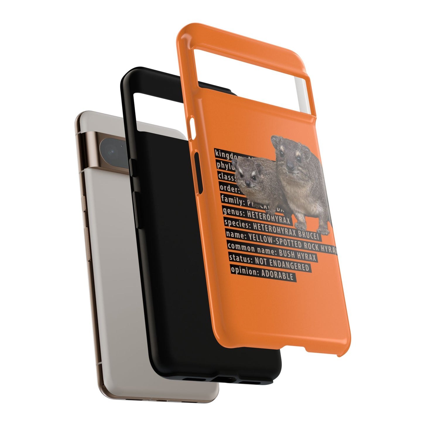 Hyrax Taxonomic Hierarchy Phone Cases