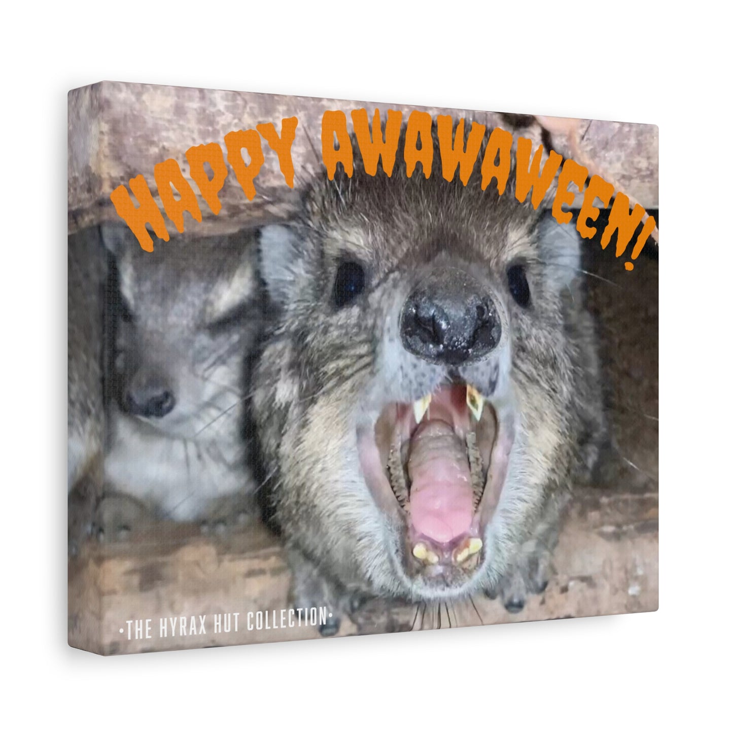 Hyrax Scream Print Wall Art, Halloween, Matte Canvas Photo, Awawa Extreme, Unique Home Decor, Wall Art for Animal Enthusiasts,