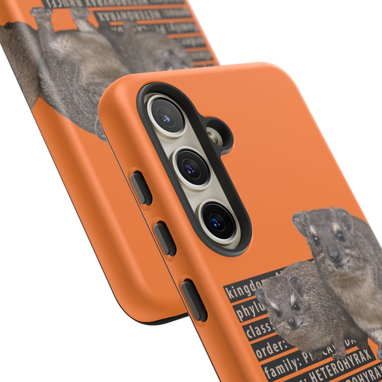 Hyrax Taxonomic Hierarchy Phone Cases