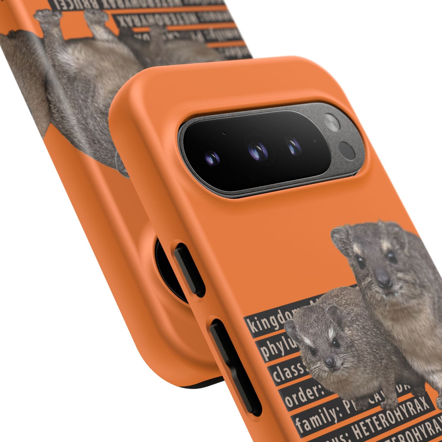 Hyrax Taxonomic Hierarchy Phone Cases