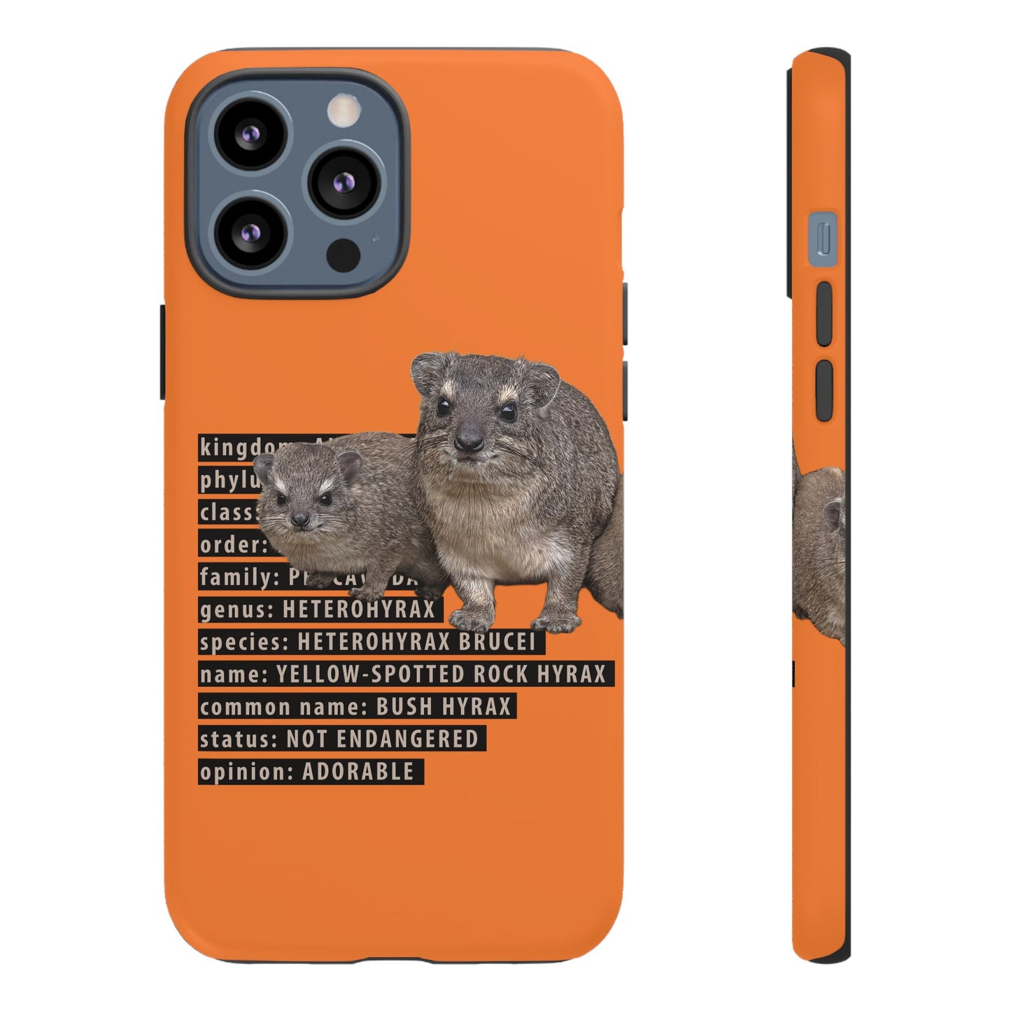 Hyrax Taxonomic Hierarchy Phone Cases