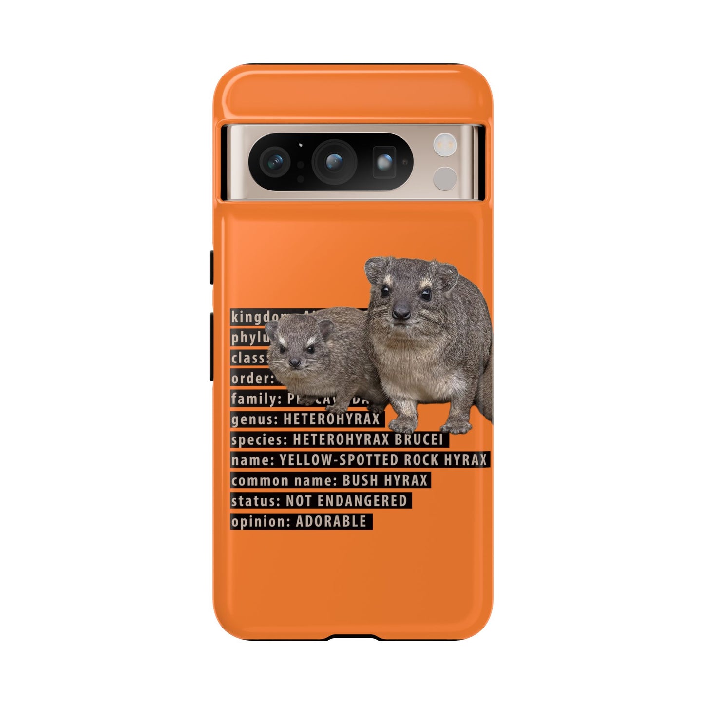 Hyrax Taxonomic Hierarchy Phone Cases