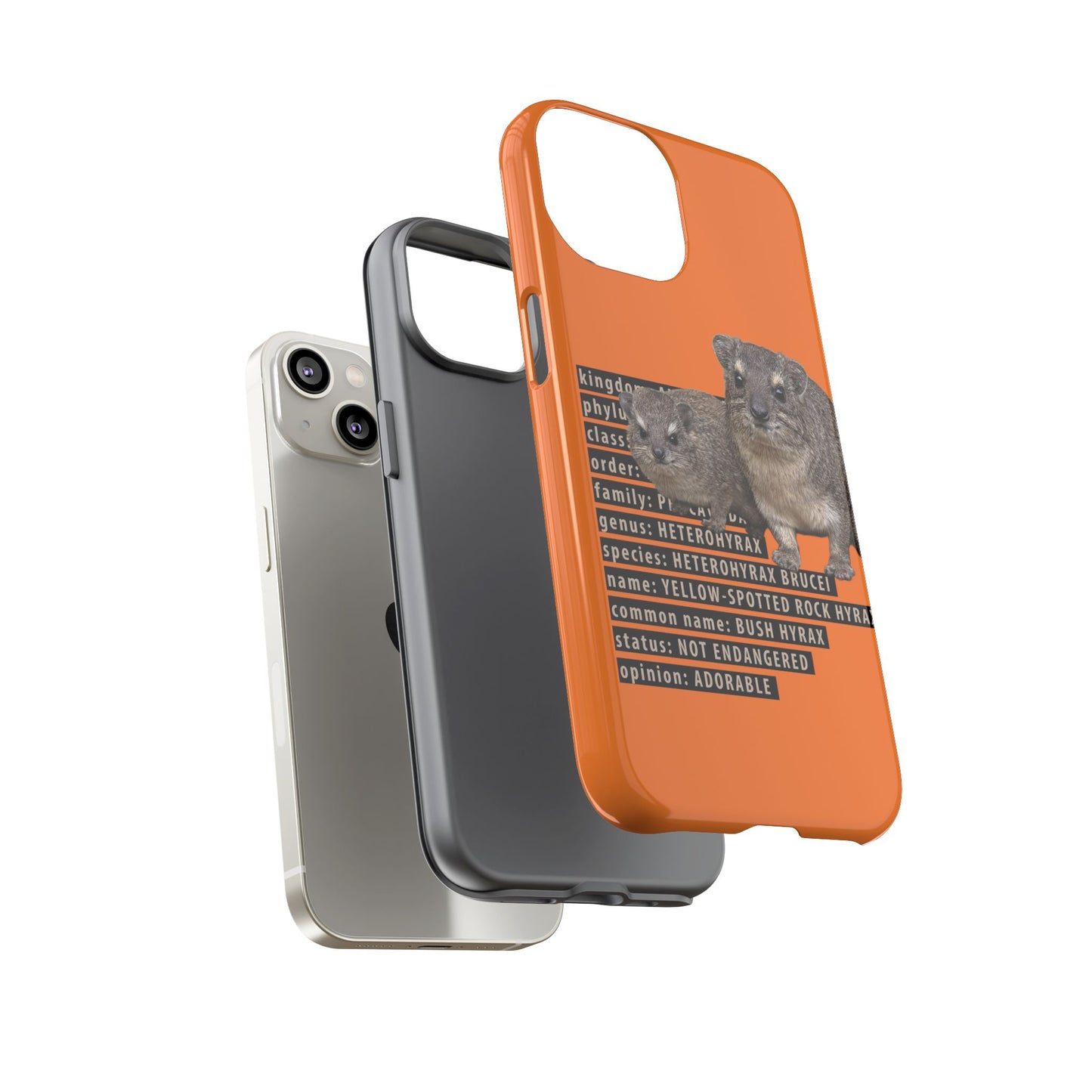 Hyrax Taxonomic Hierarchy Phone Cases