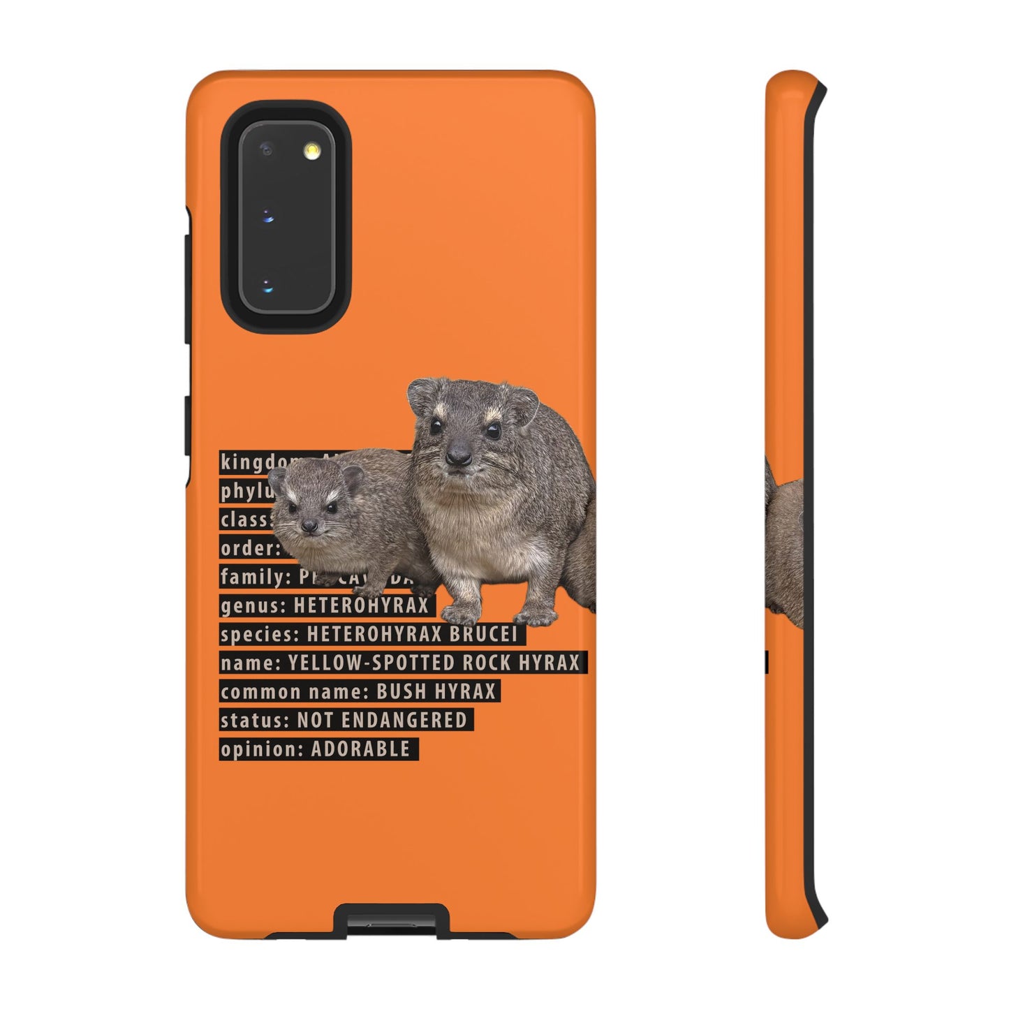 Hyrax Taxonomic Hierarchy Phone Cases