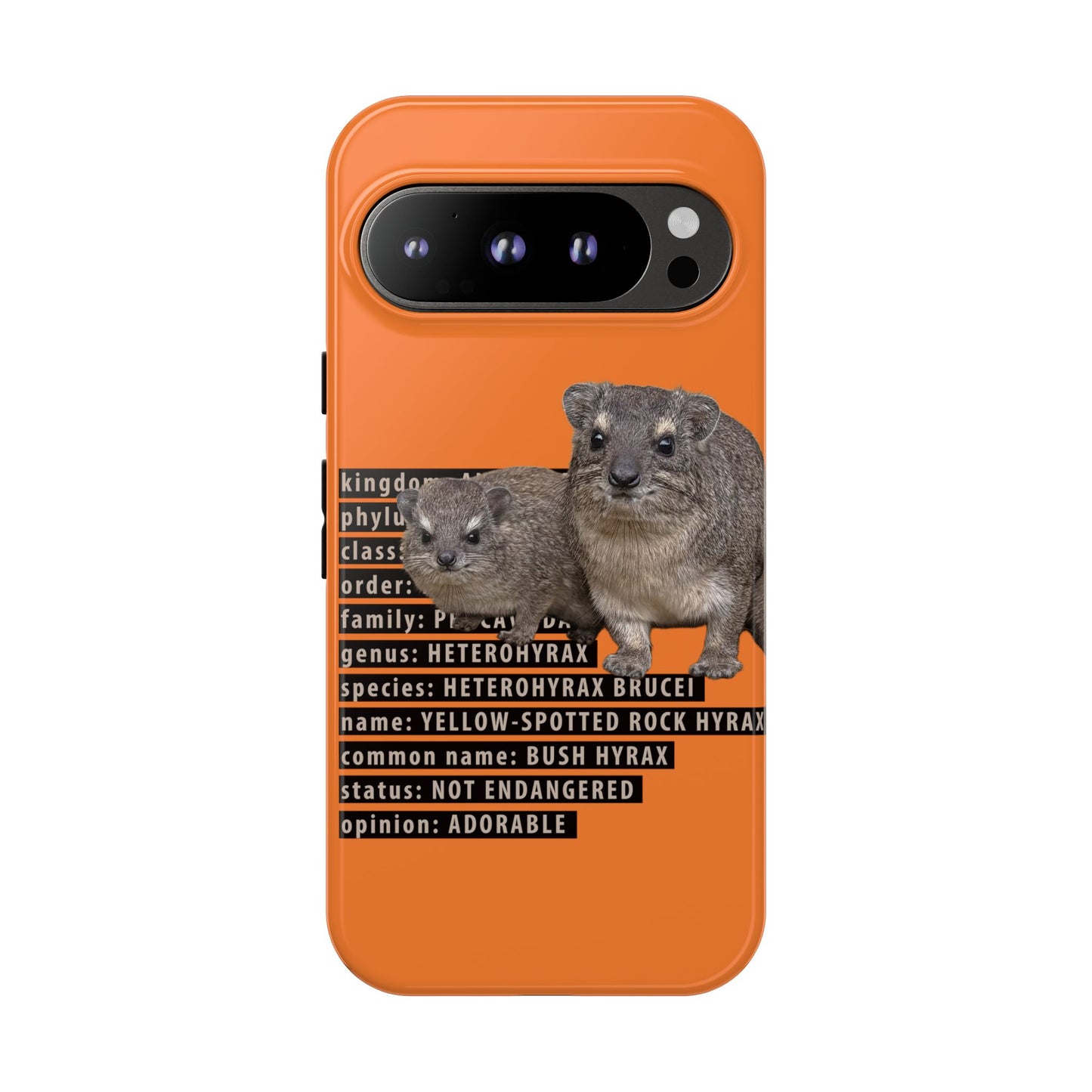 Hyrax Taxonomic Hierarchy Phone Cases