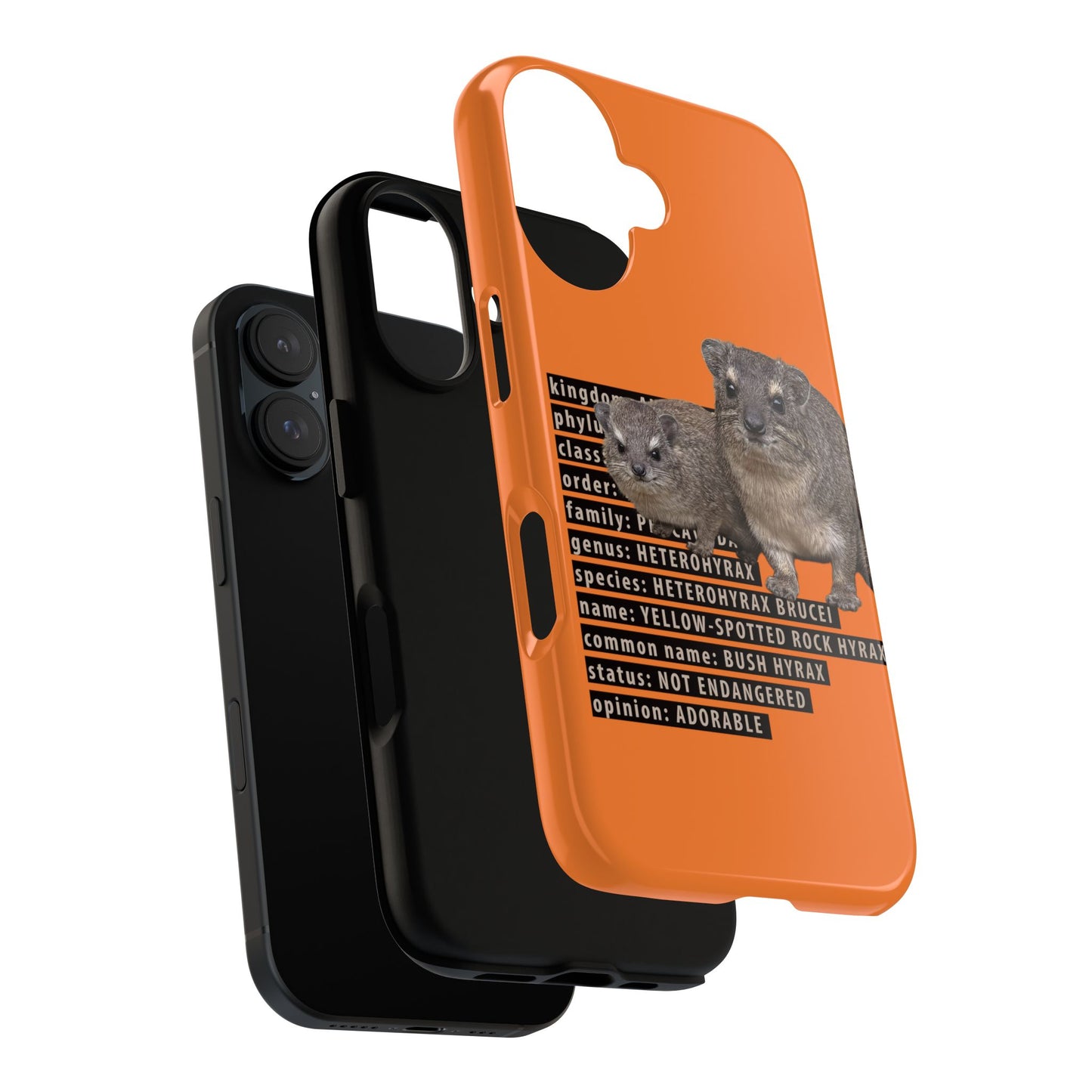 Hyrax Taxonomic Hierarchy Phone Cases