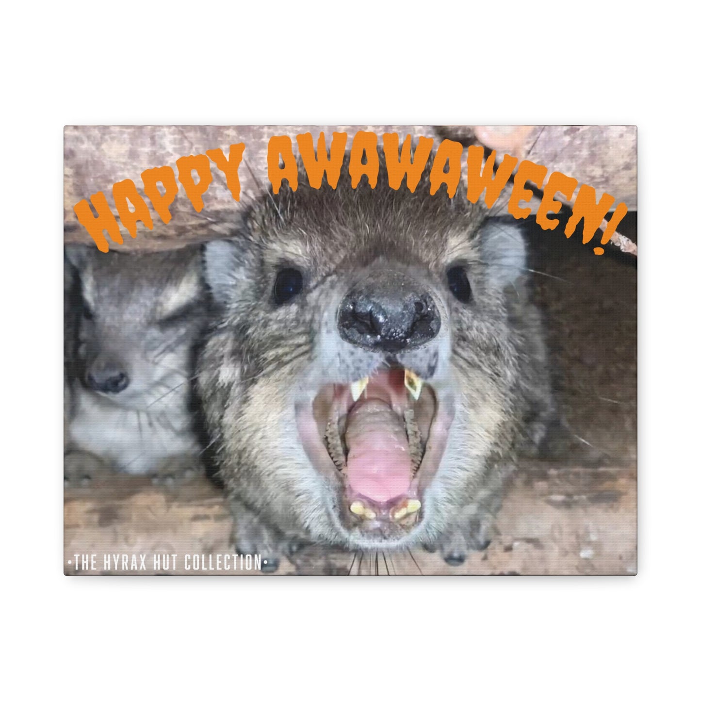 Hyrax Scream Print Wall Art, Halloween, Matte Canvas Photo, Awawa Extreme, Unique Home Decor, Wall Art for Animal Enthusiasts,