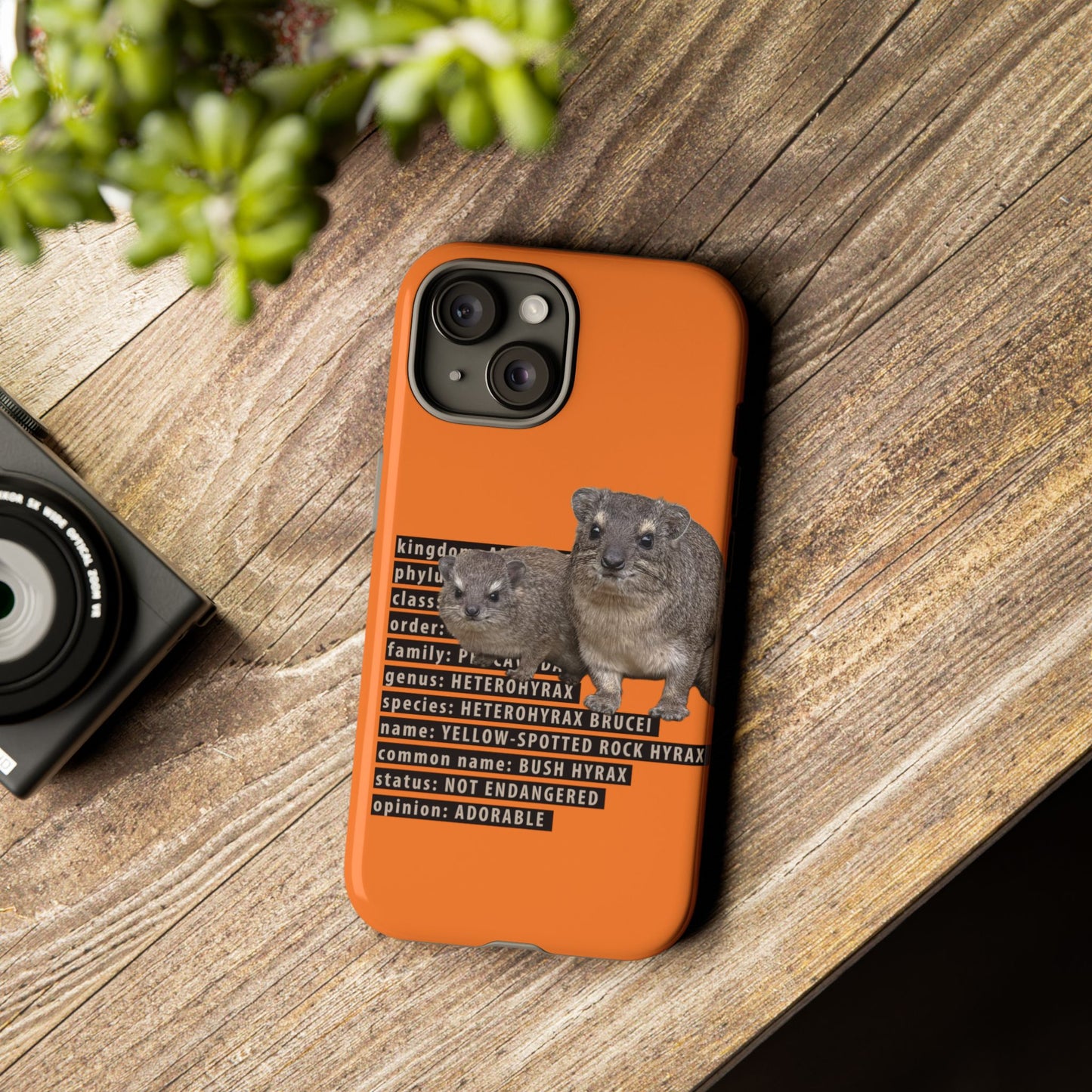 Hyrax Taxonomic Hierarchy Phone Cases