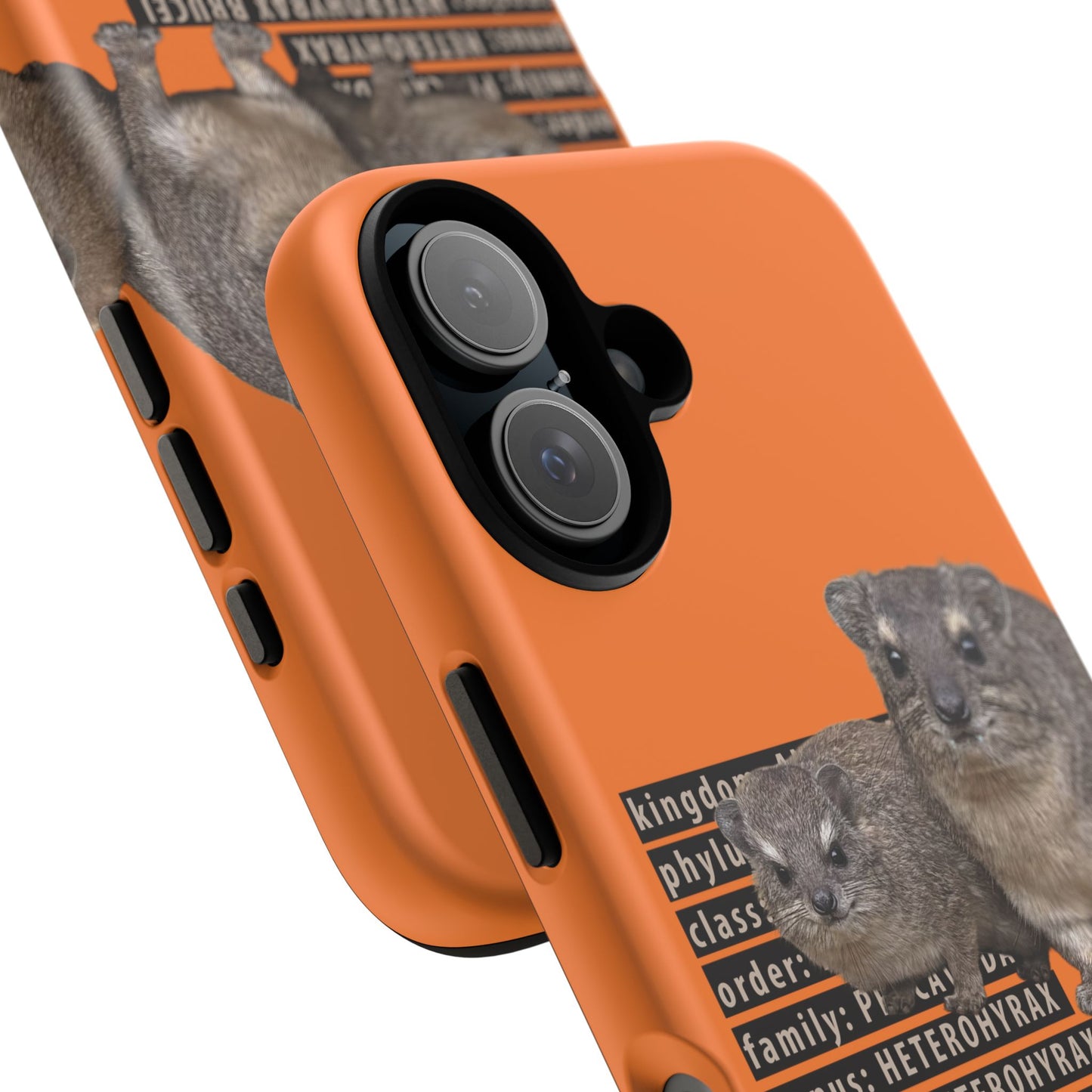 Hyrax Taxonomic Hierarchy Phone Cases