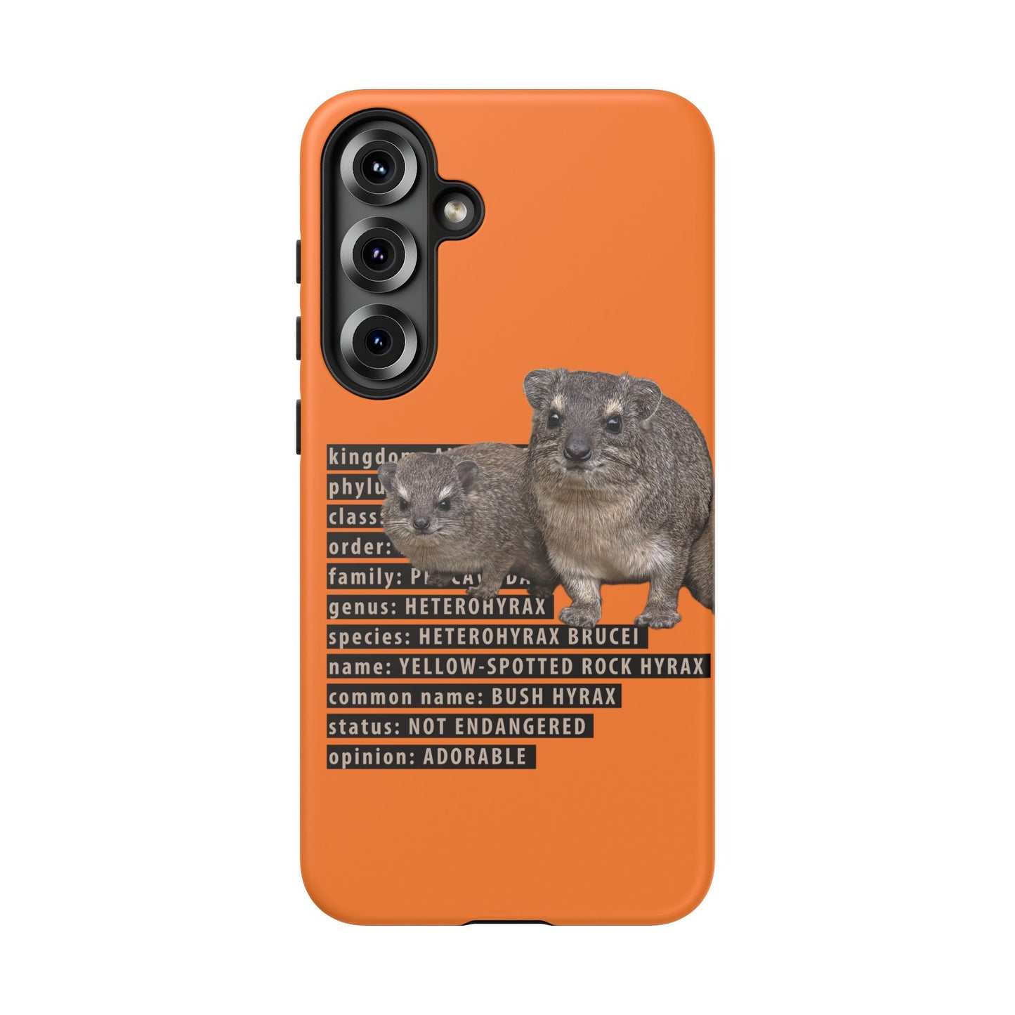 Hyrax Taxonomic Hierarchy Phone Cases