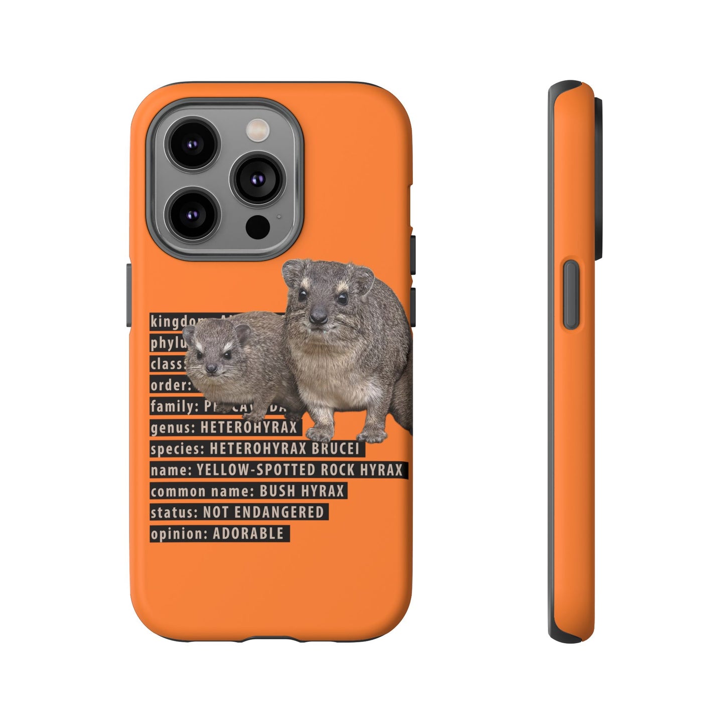 Hyrax Taxonomic Hierarchy Phone Cases