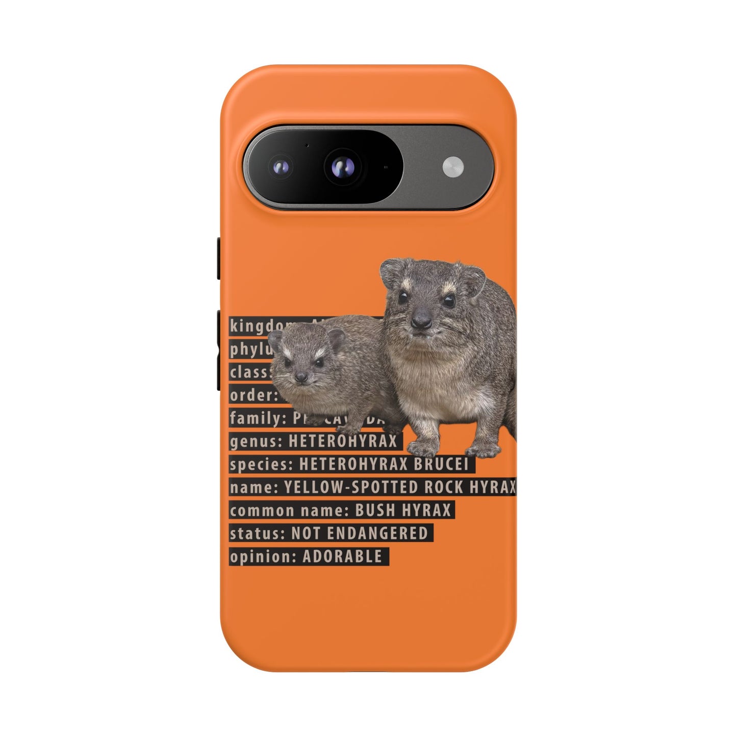 Hyrax Taxonomic Hierarchy Phone Cases