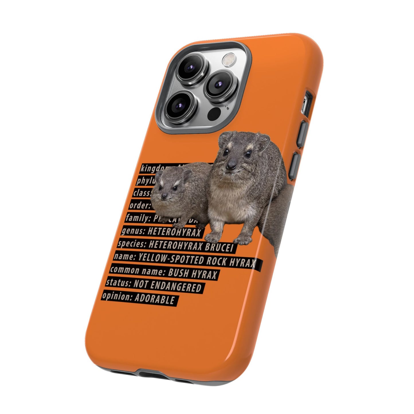 Hyrax Taxonomic Hierarchy Phone Cases