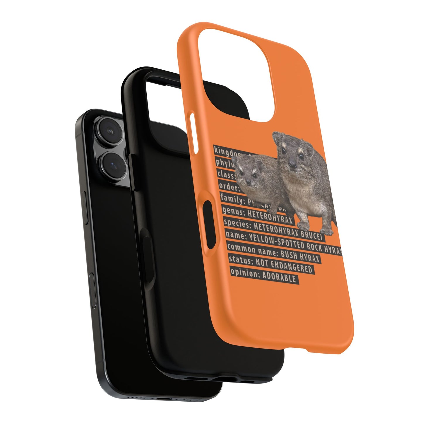 Hyrax Taxonomic Hierarchy Phone Cases
