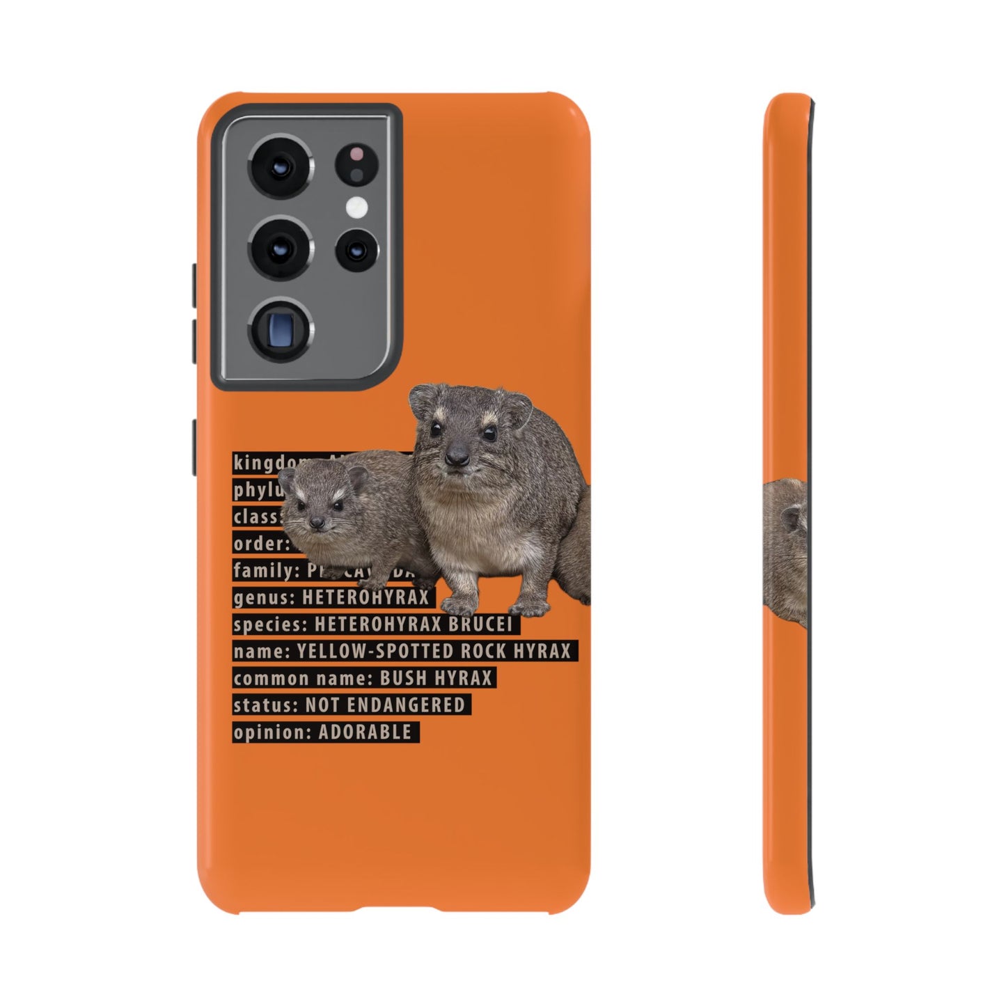 Hyrax Taxonomic Hierarchy Phone Cases
