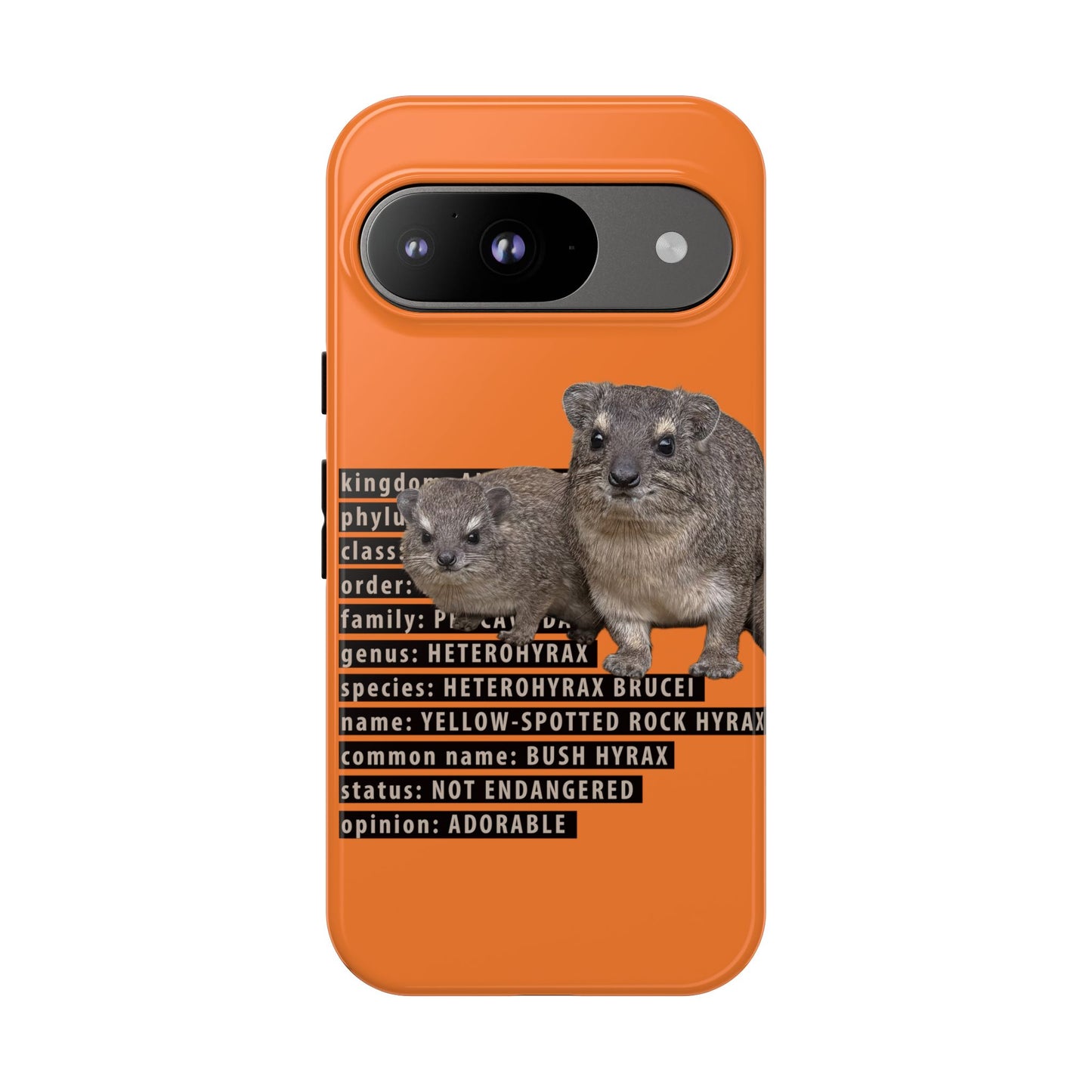 Hyrax Taxonomic Hierarchy Phone Cases