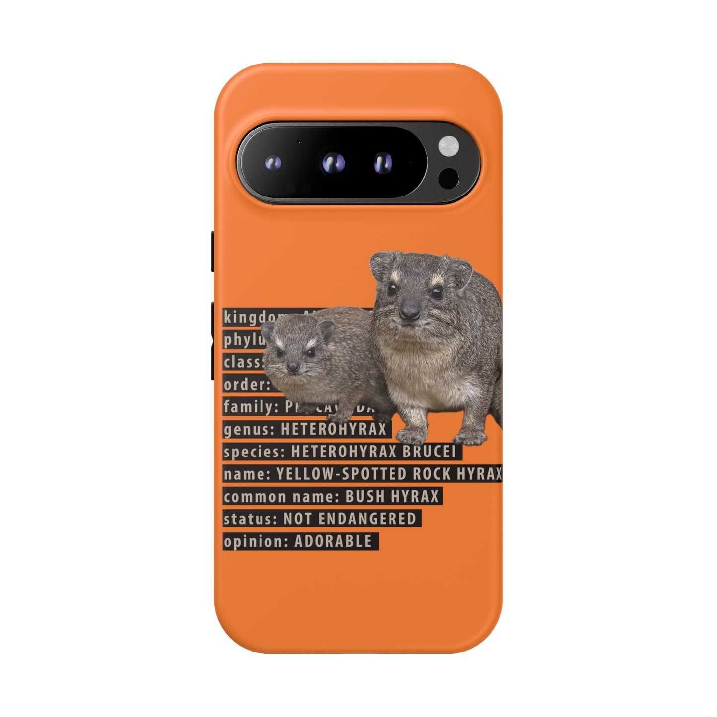 Hyrax Taxonomic Hierarchy Phone Cases