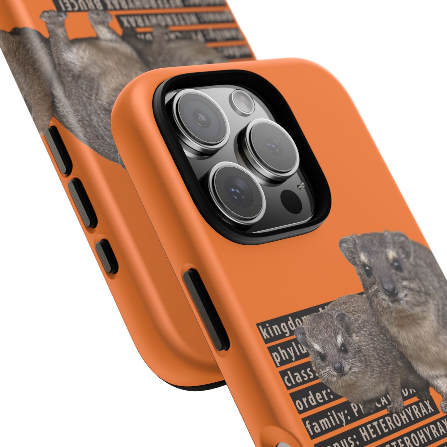 Hyrax Taxonomic Hierarchy Phone Cases