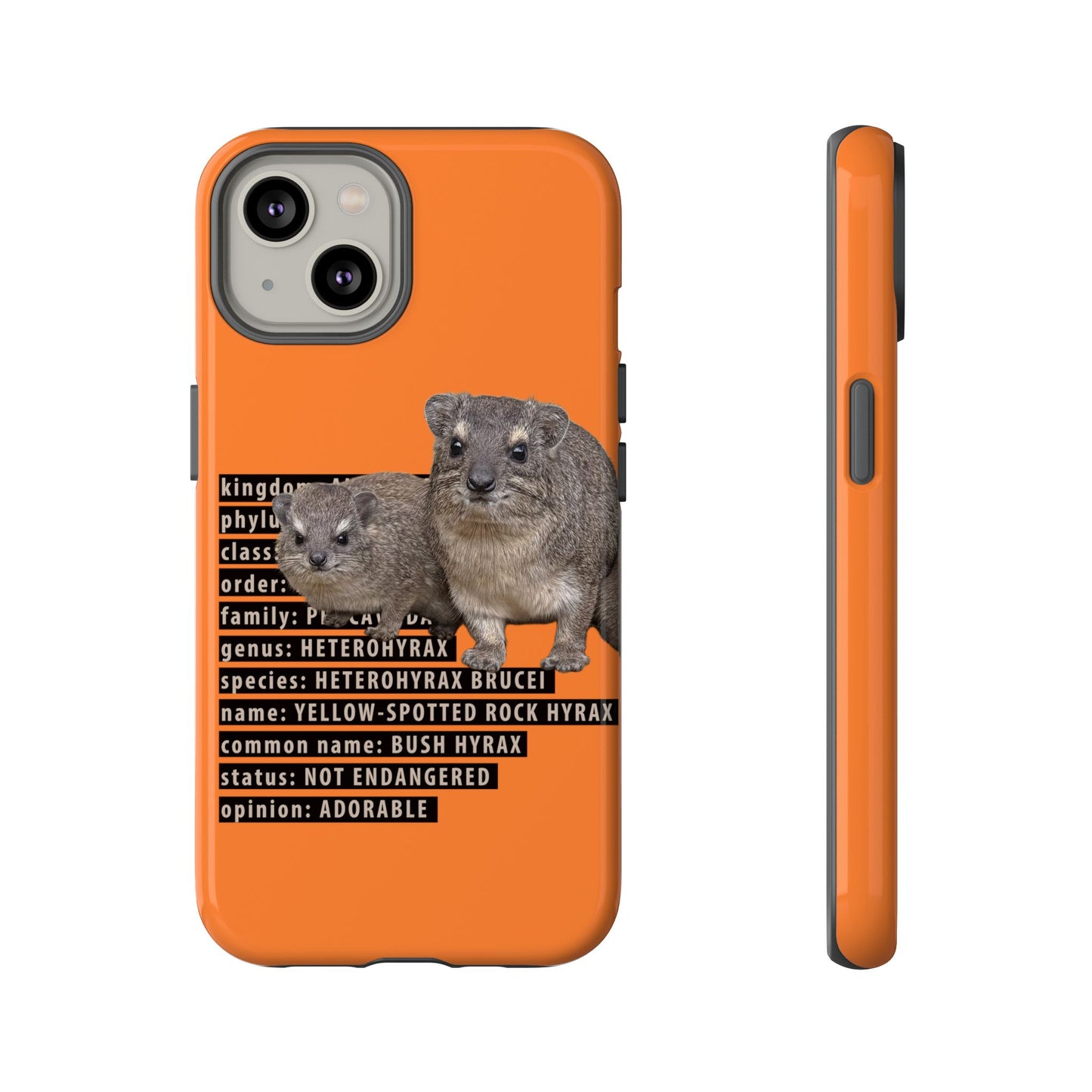 Hyrax Taxonomic Hierarchy Phone Cases