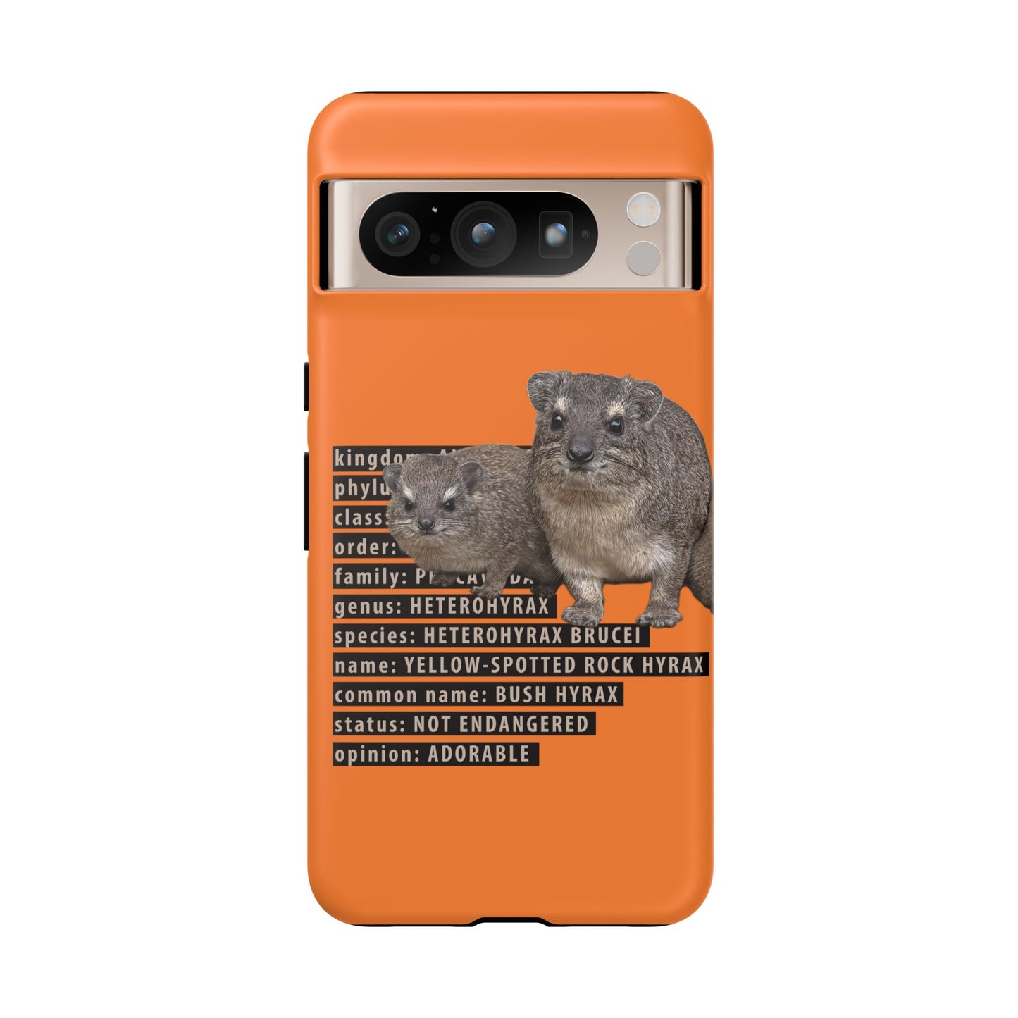 Hyrax Taxonomic Hierarchy Phone Cases