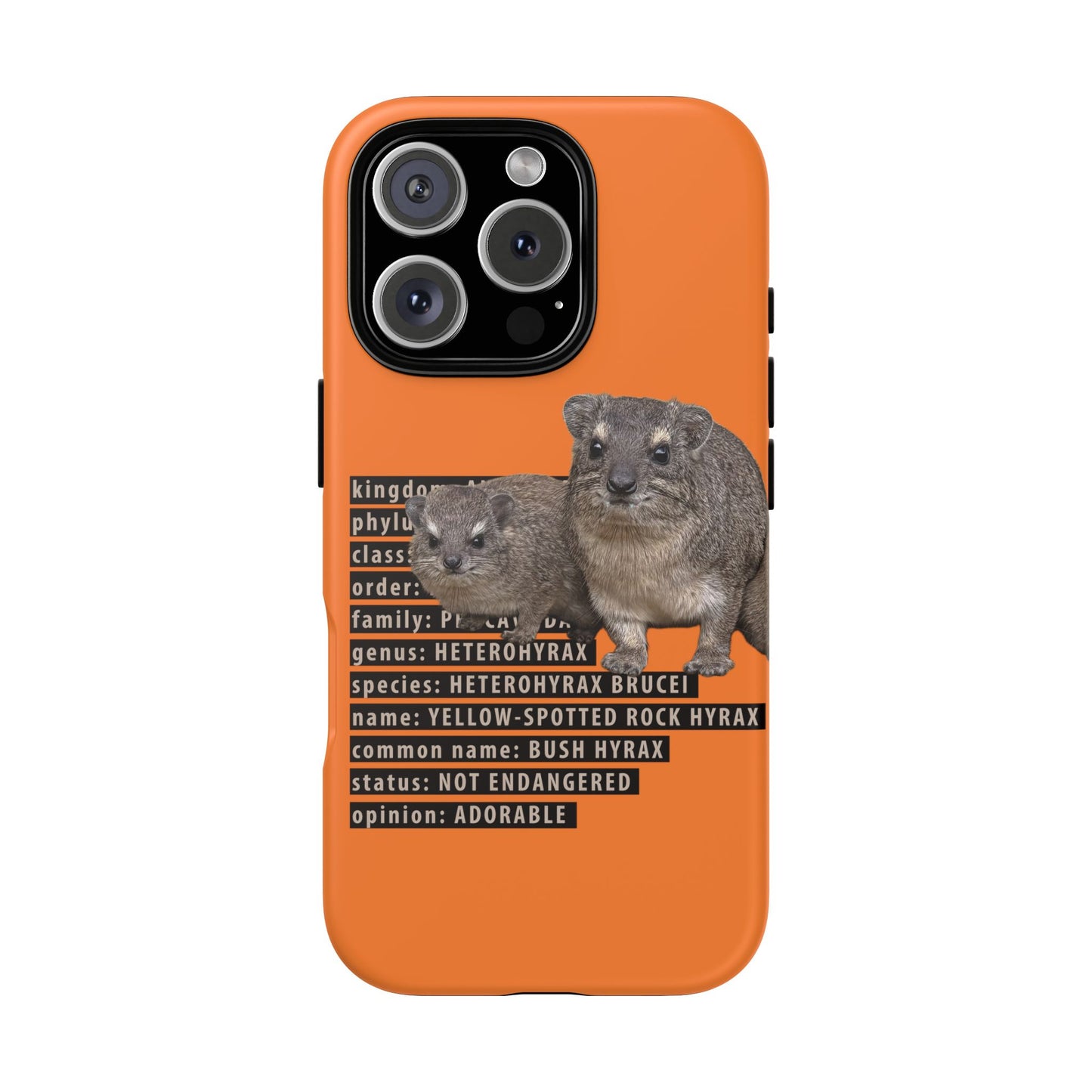 Hyrax Taxonomic Hierarchy Phone Cases
