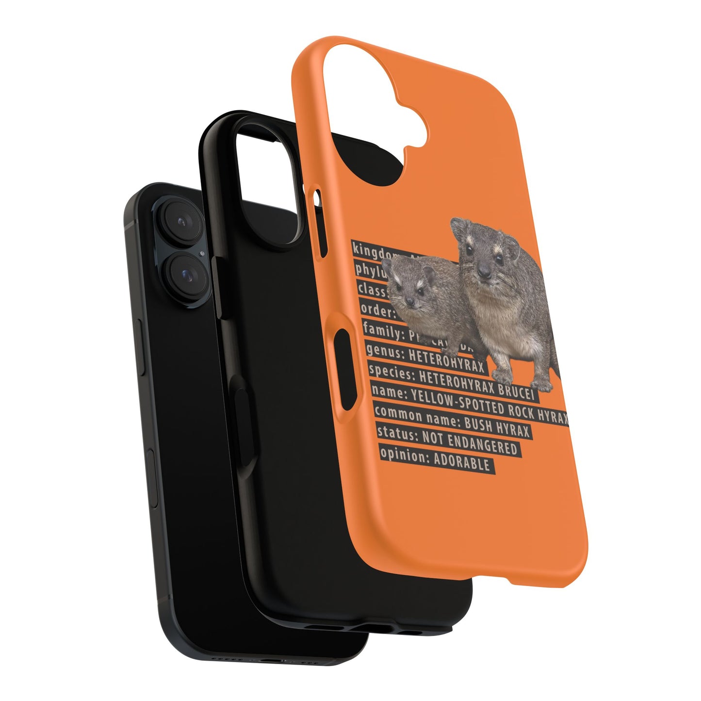 Hyrax Taxonomic Hierarchy Phone Cases