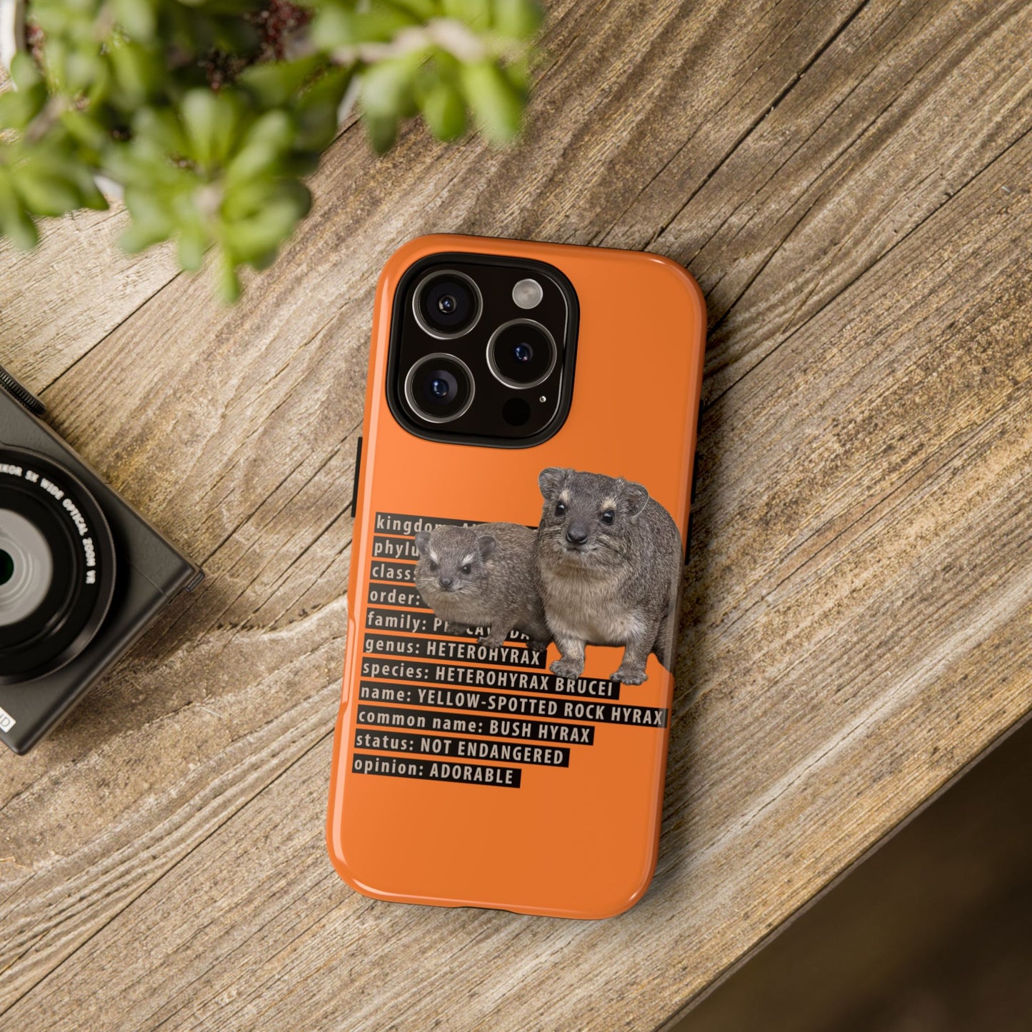 Hyrax Taxonomic Hierarchy Phone Cases