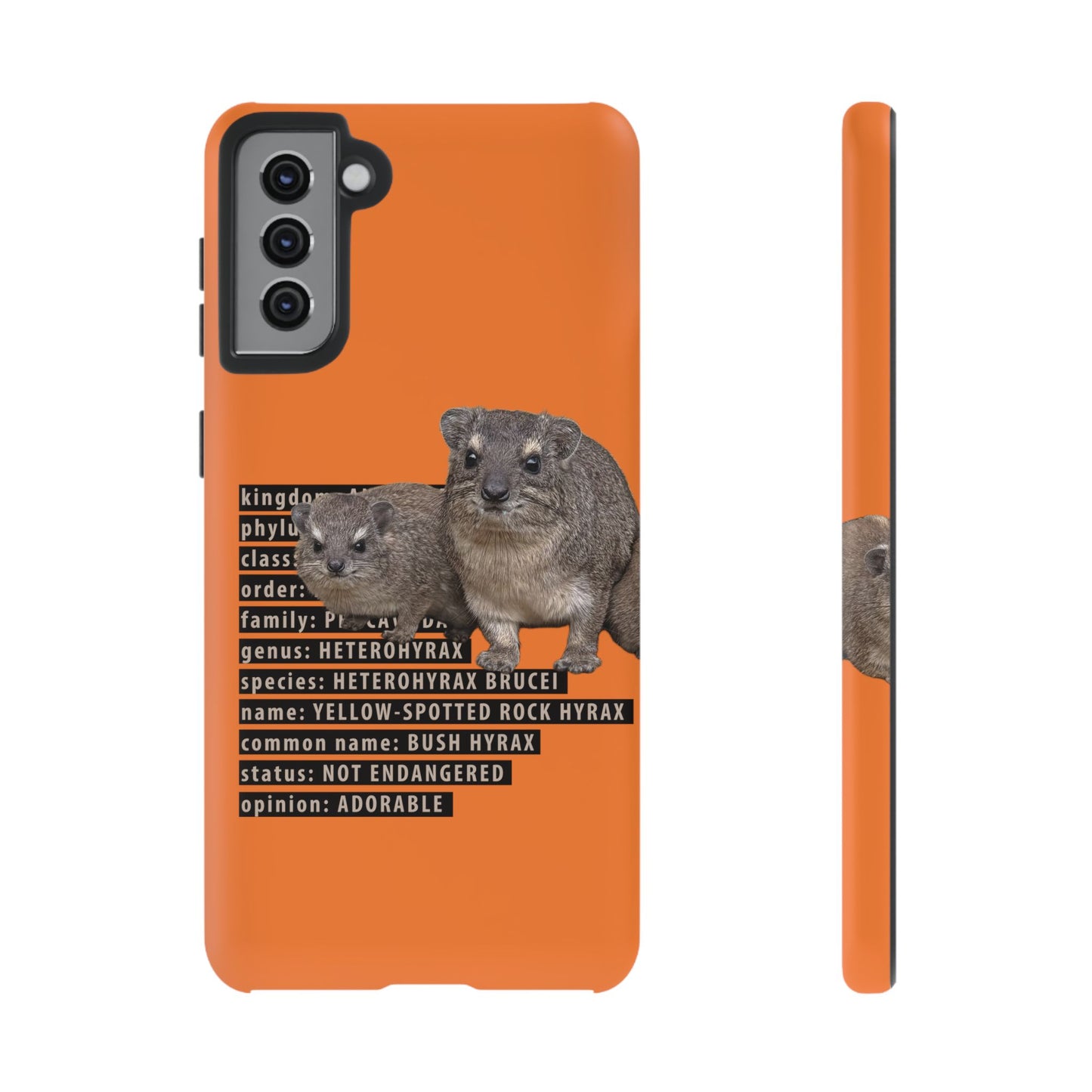 Hyrax Taxonomic Hierarchy Phone Cases