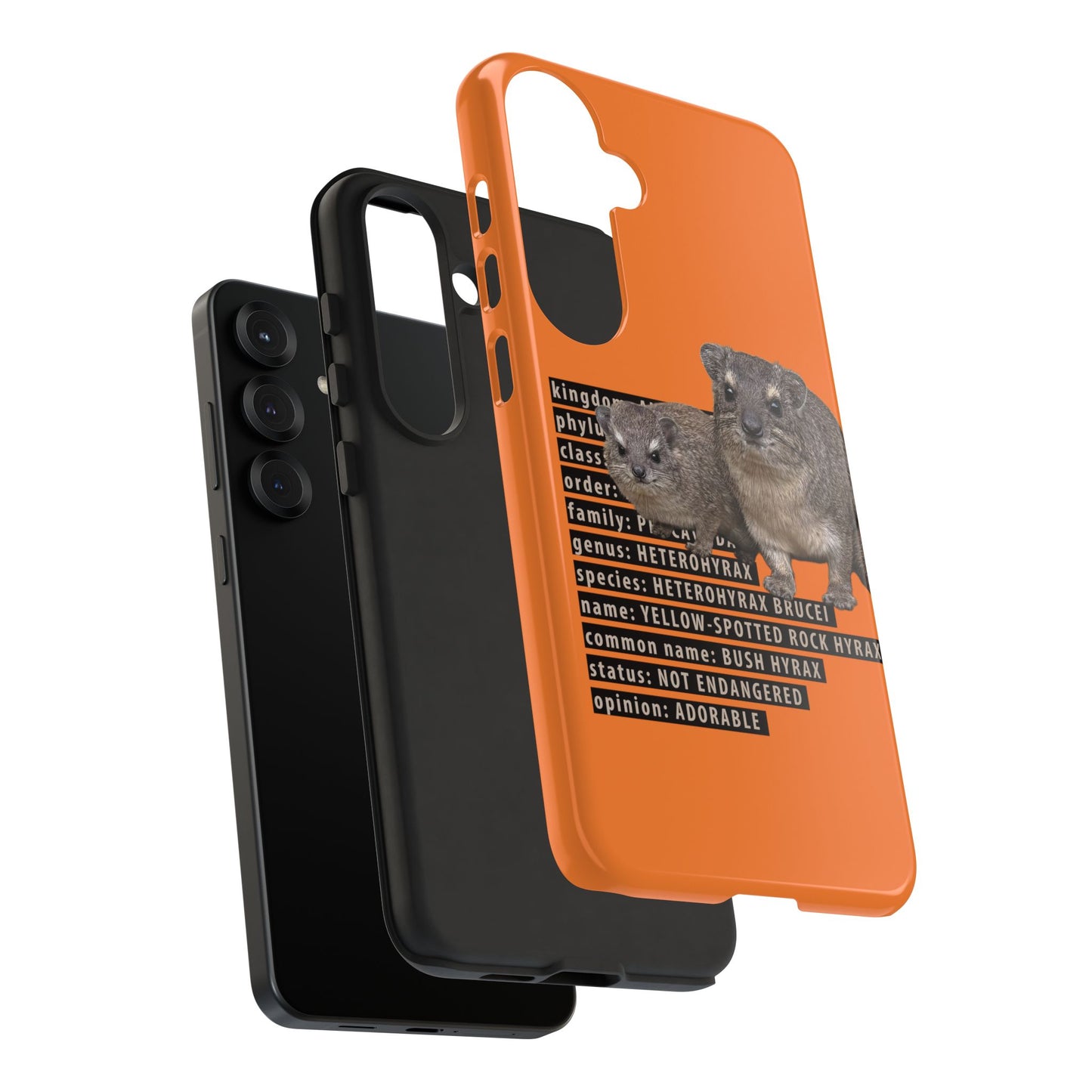 Hyrax Taxonomic Hierarchy Phone Cases
