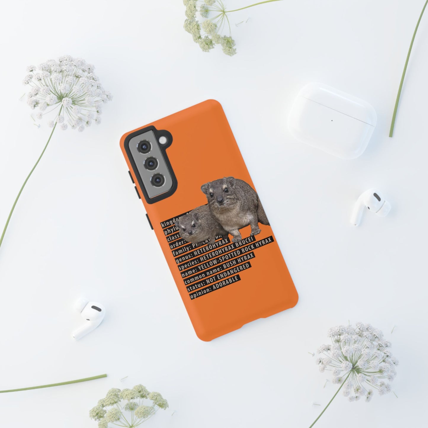 Hyrax Taxonomic Hierarchy Phone Cases