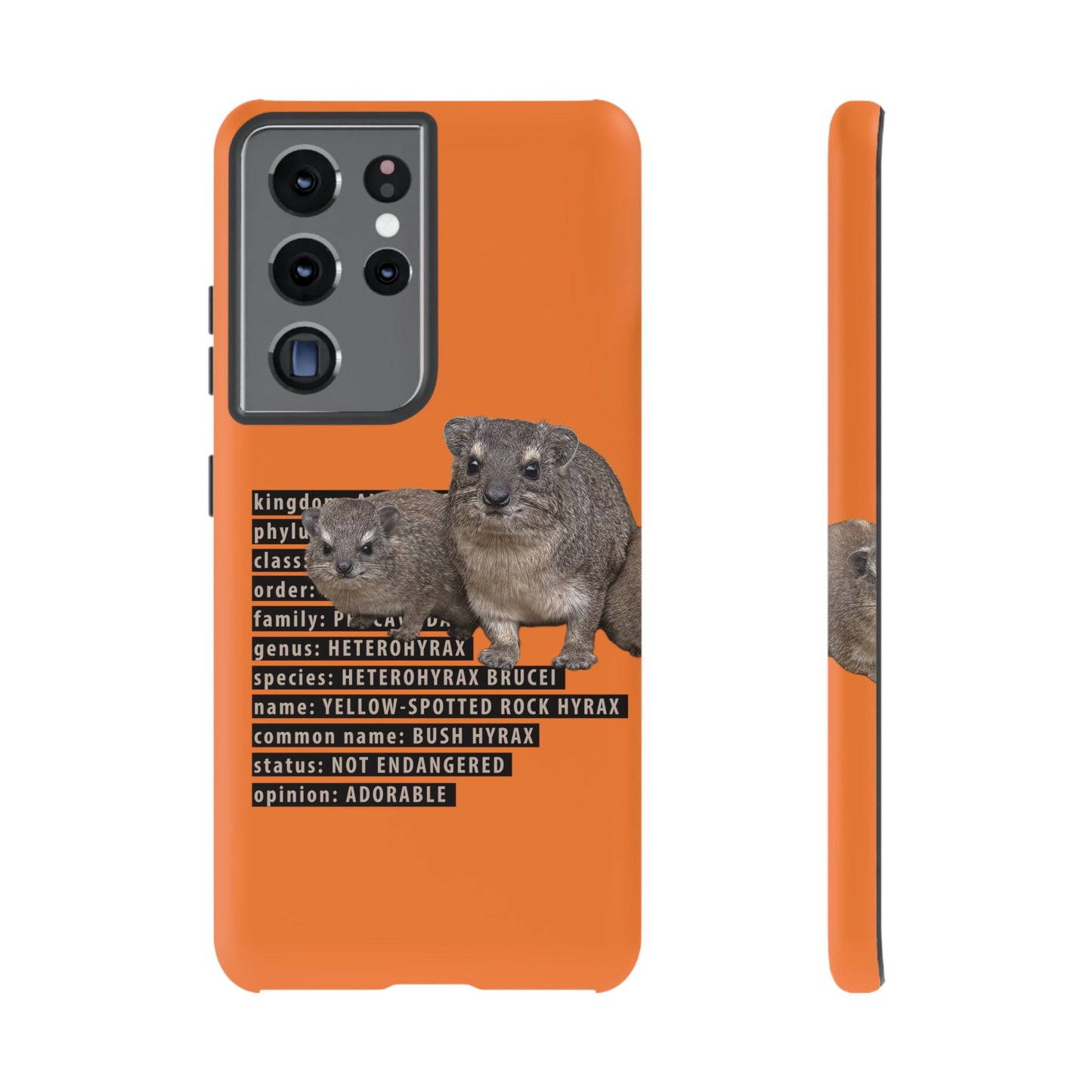 Hyrax Taxonomic Hierarchy Phone Cases