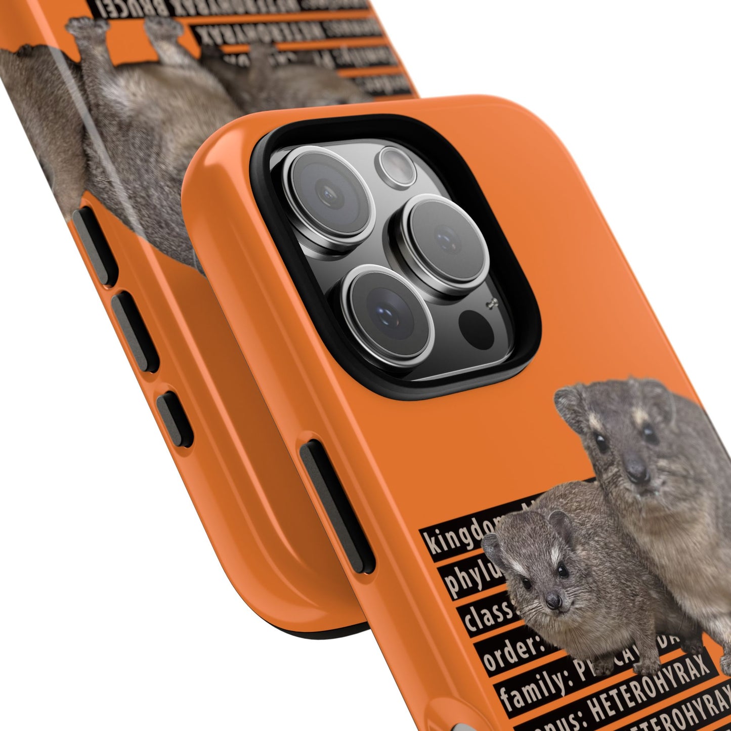 Hyrax Taxonomic Hierarchy Phone Cases