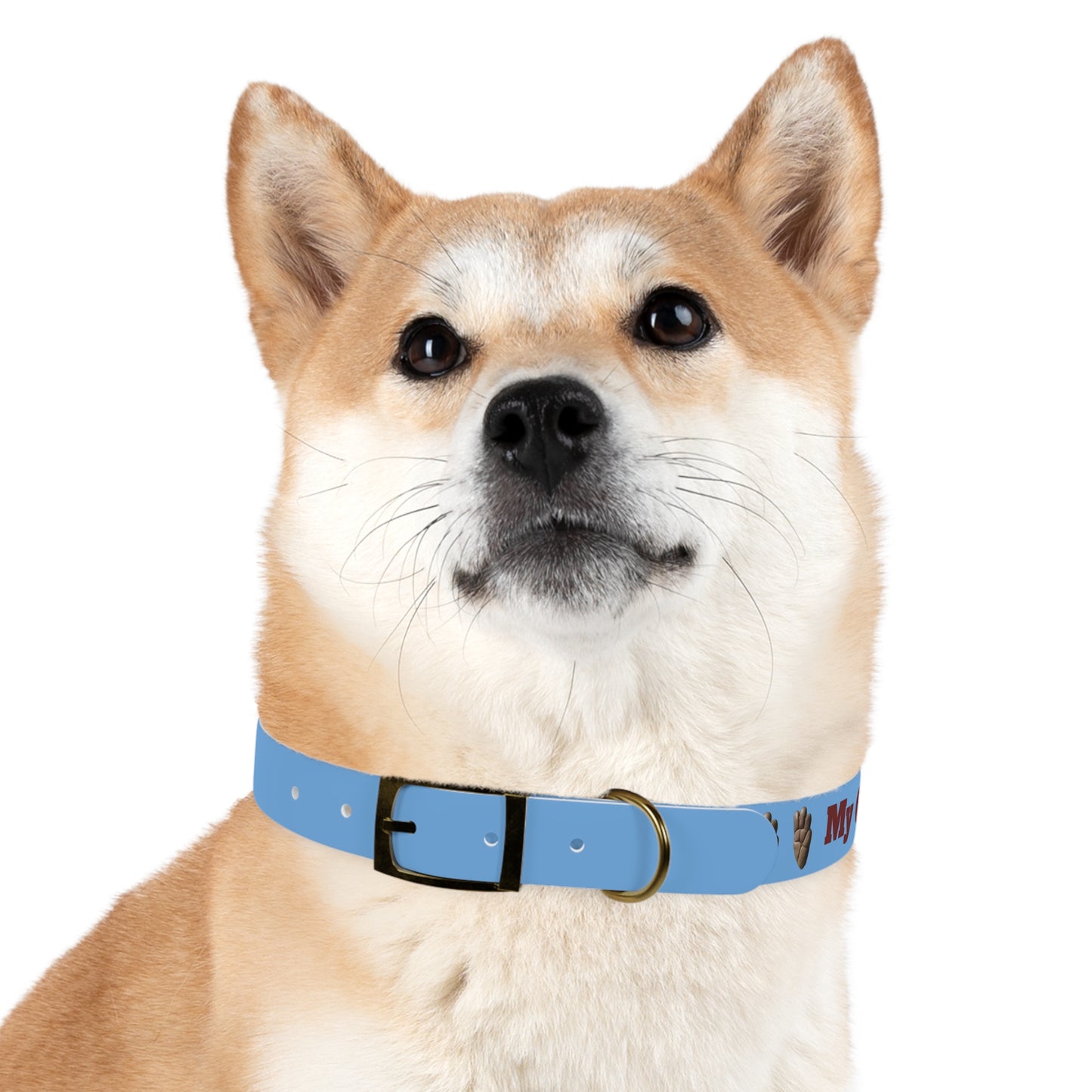 My Other Dog Is A Hyrax - Pet Collar