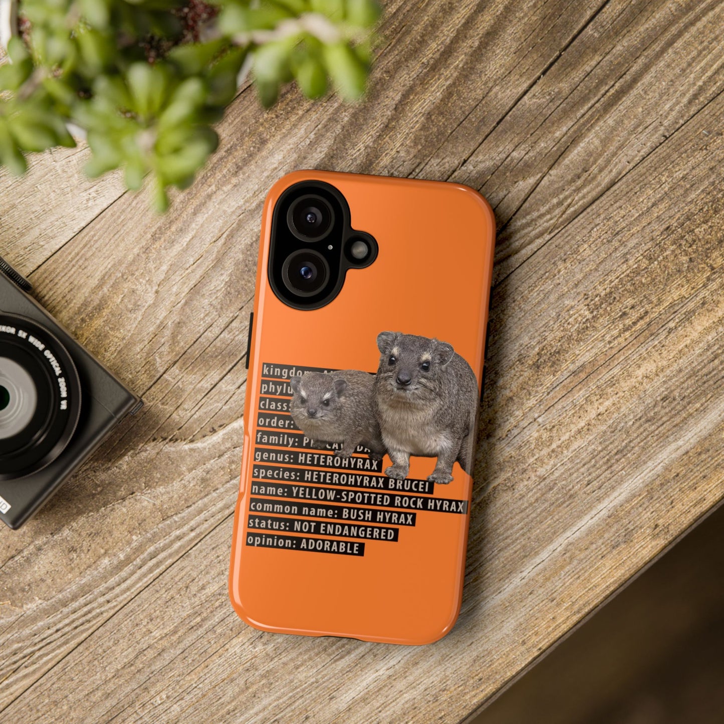 Hyrax Taxonomic Hierarchy Phone Cases