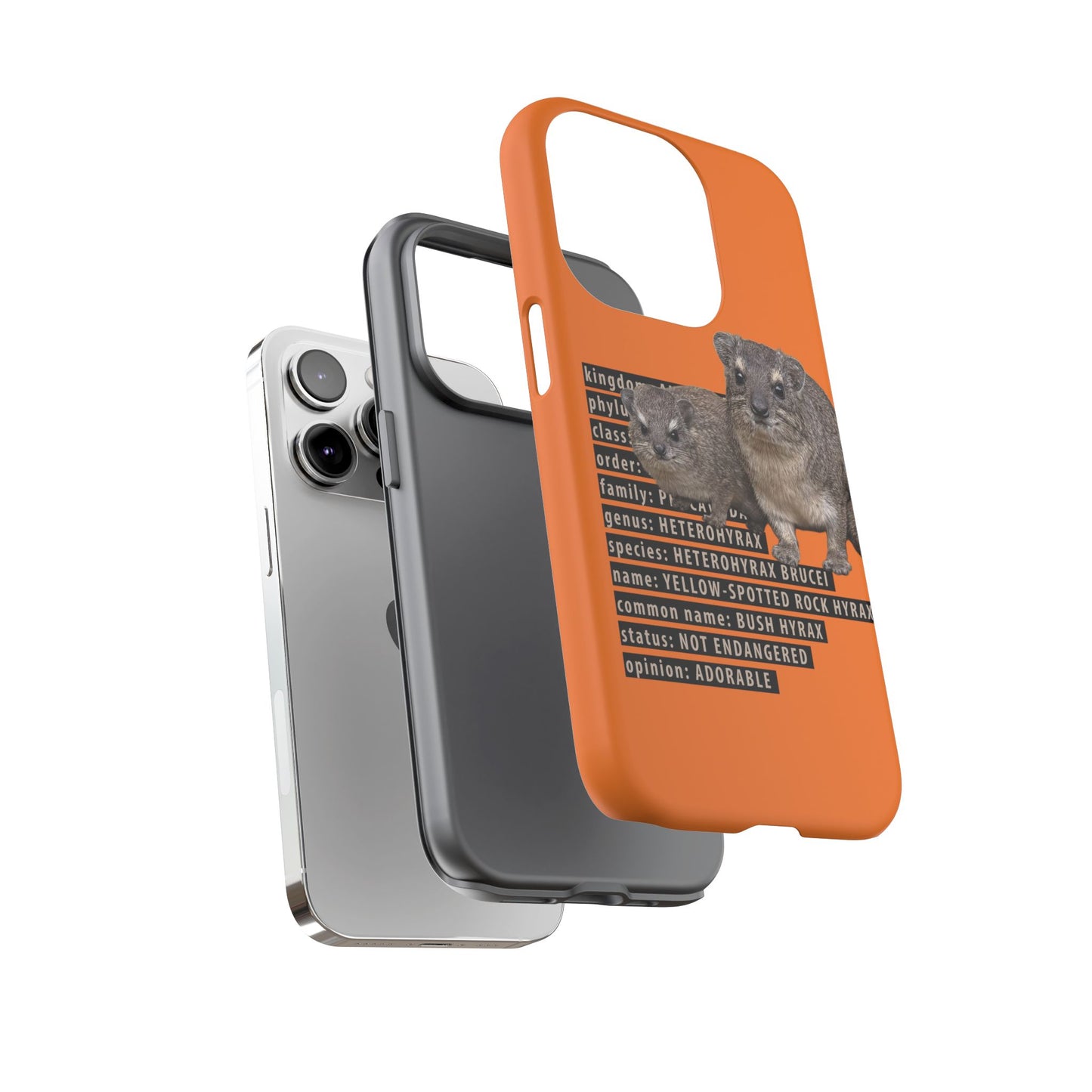 Hyrax Taxonomic Hierarchy Phone Cases