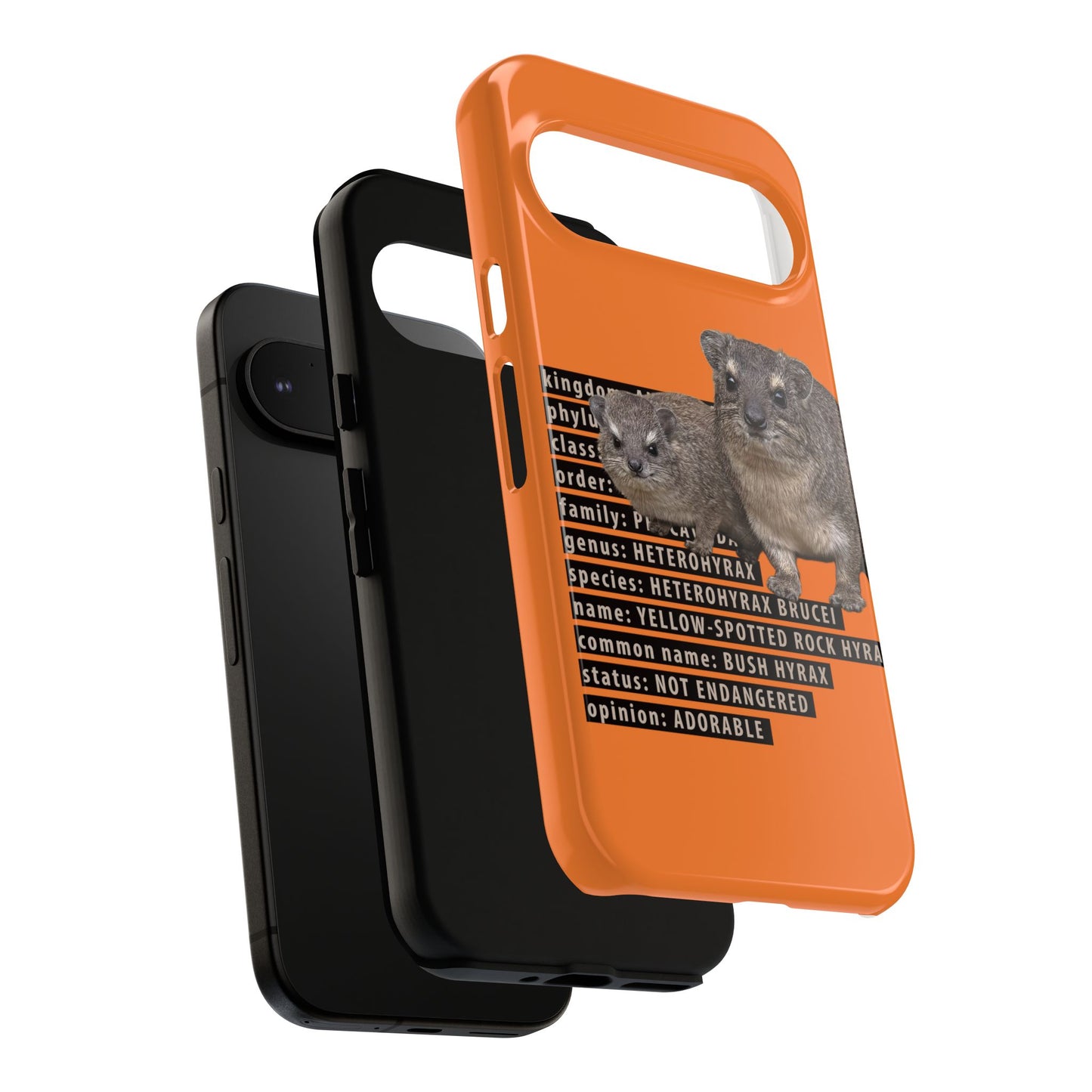 Hyrax Taxonomic Hierarchy Phone Cases