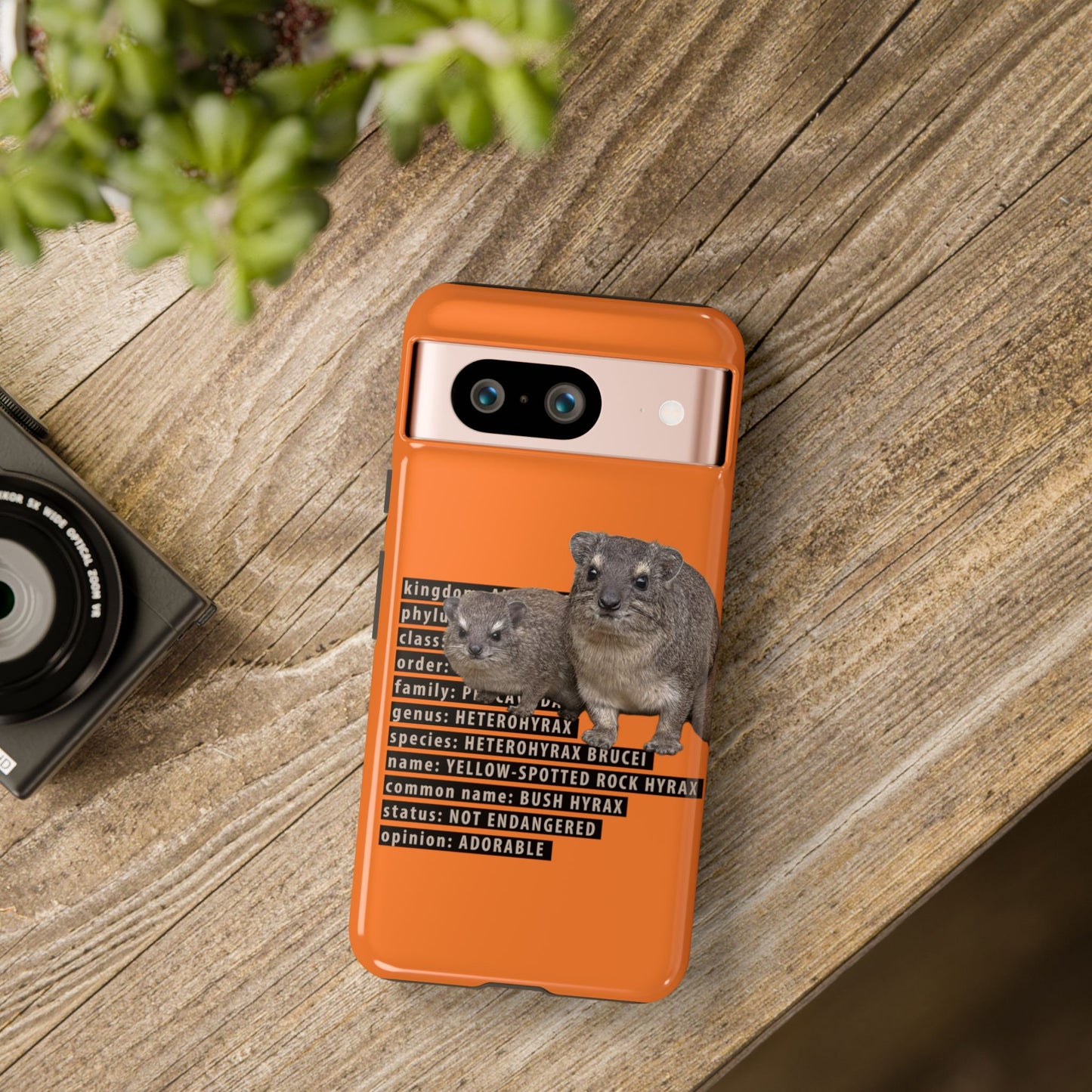 Hyrax Taxonomic Hierarchy Phone Cases