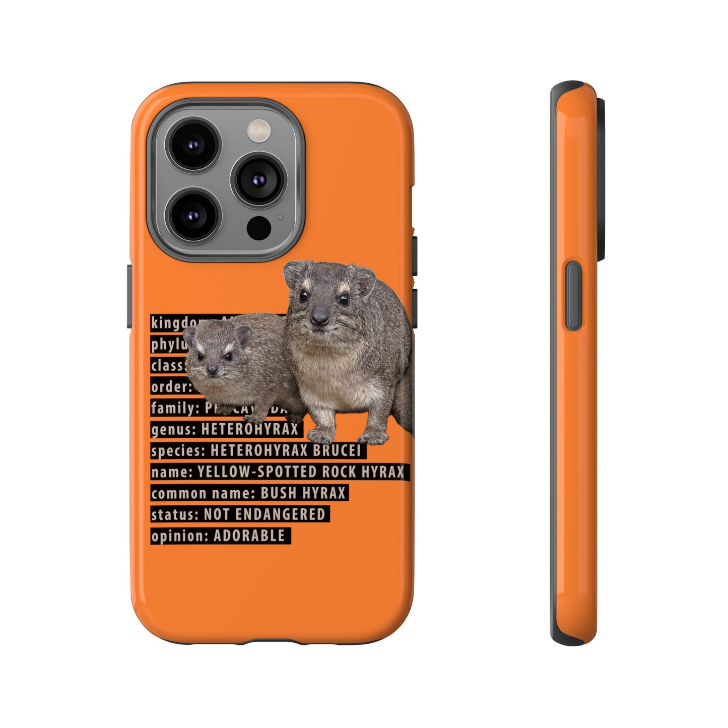 Hyrax Taxonomic Hierarchy Phone Cases