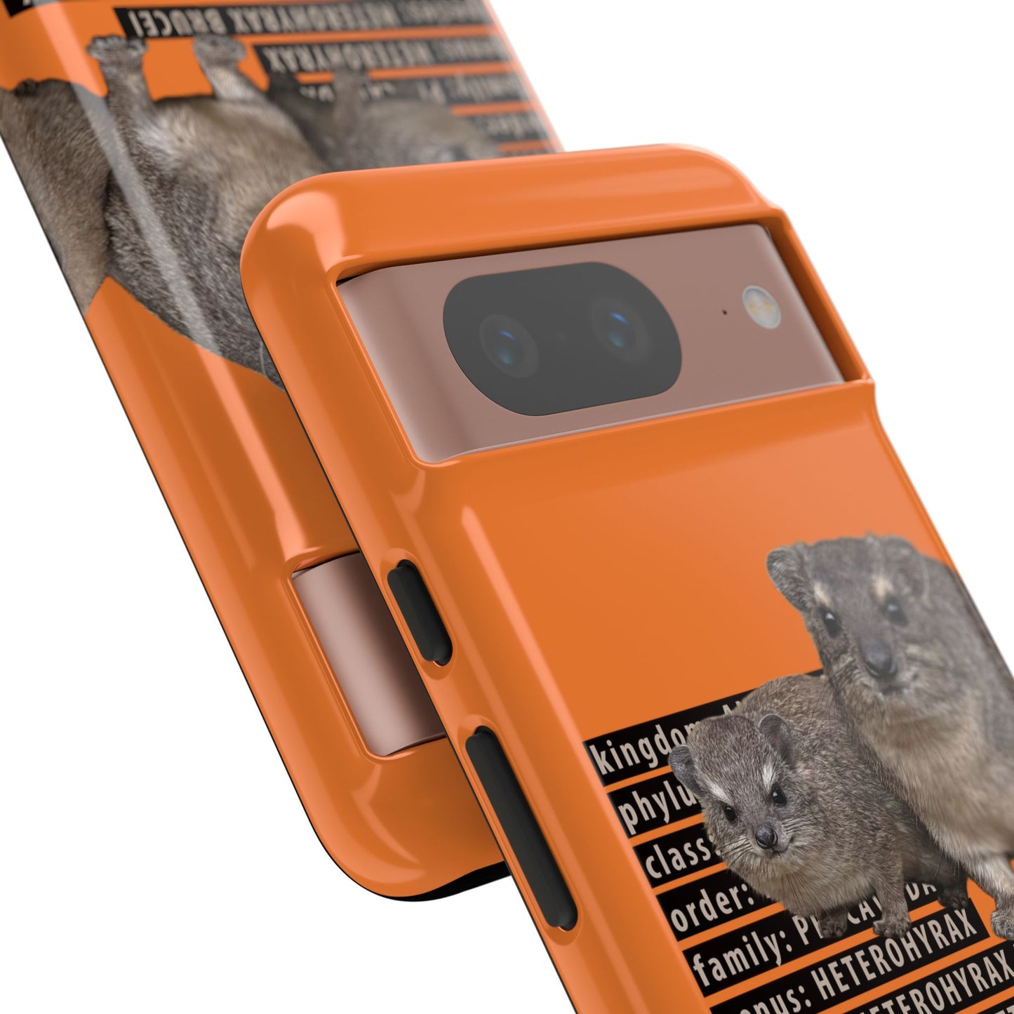 Hyrax Taxonomic Hierarchy Phone Cases