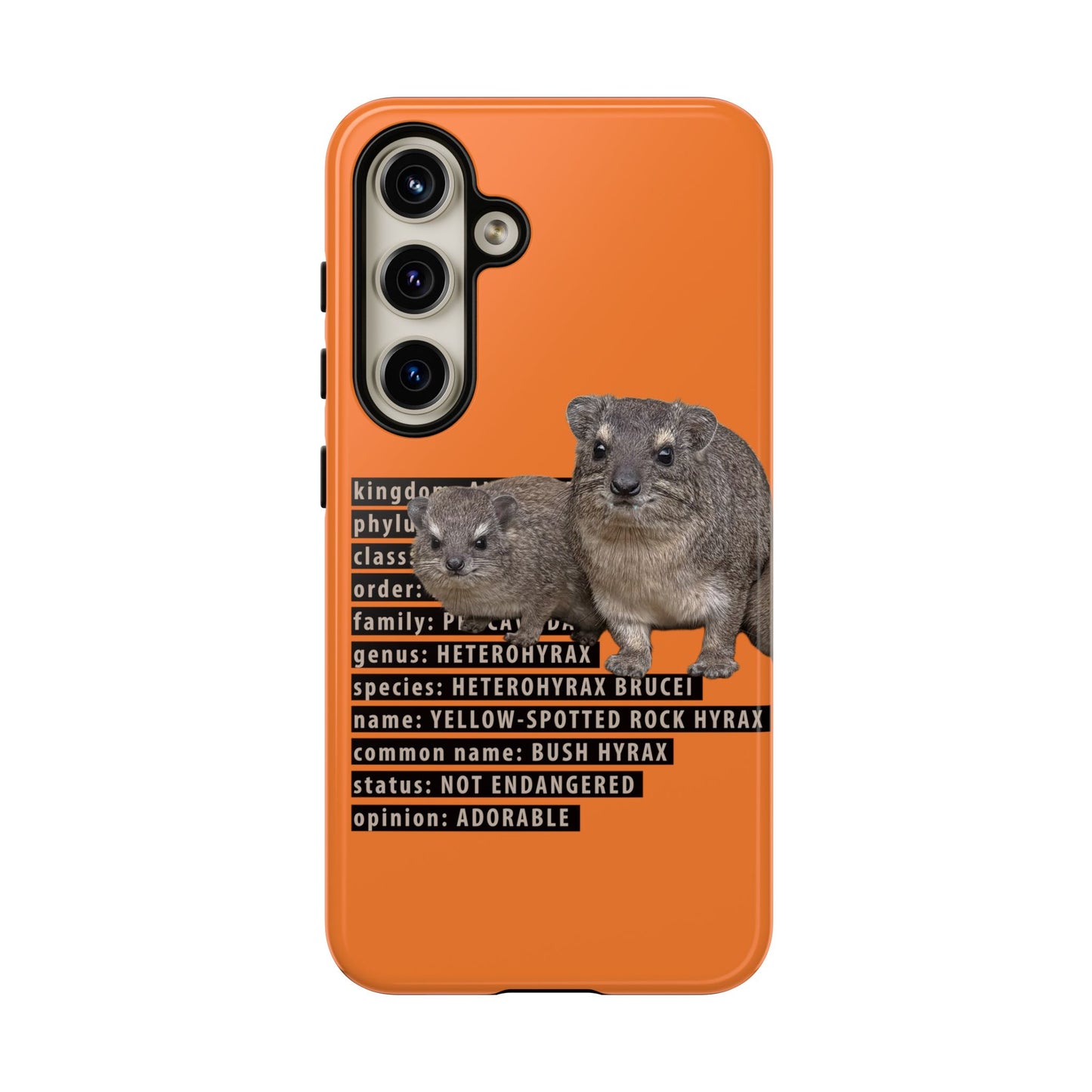Hyrax Taxonomic Hierarchy Phone Cases
