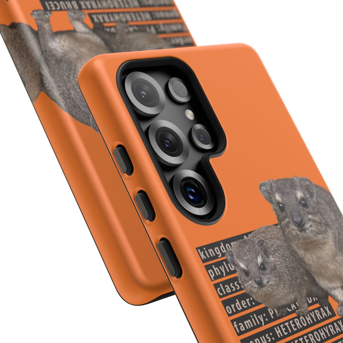 Hyrax Taxonomic Hierarchy Phone Cases
