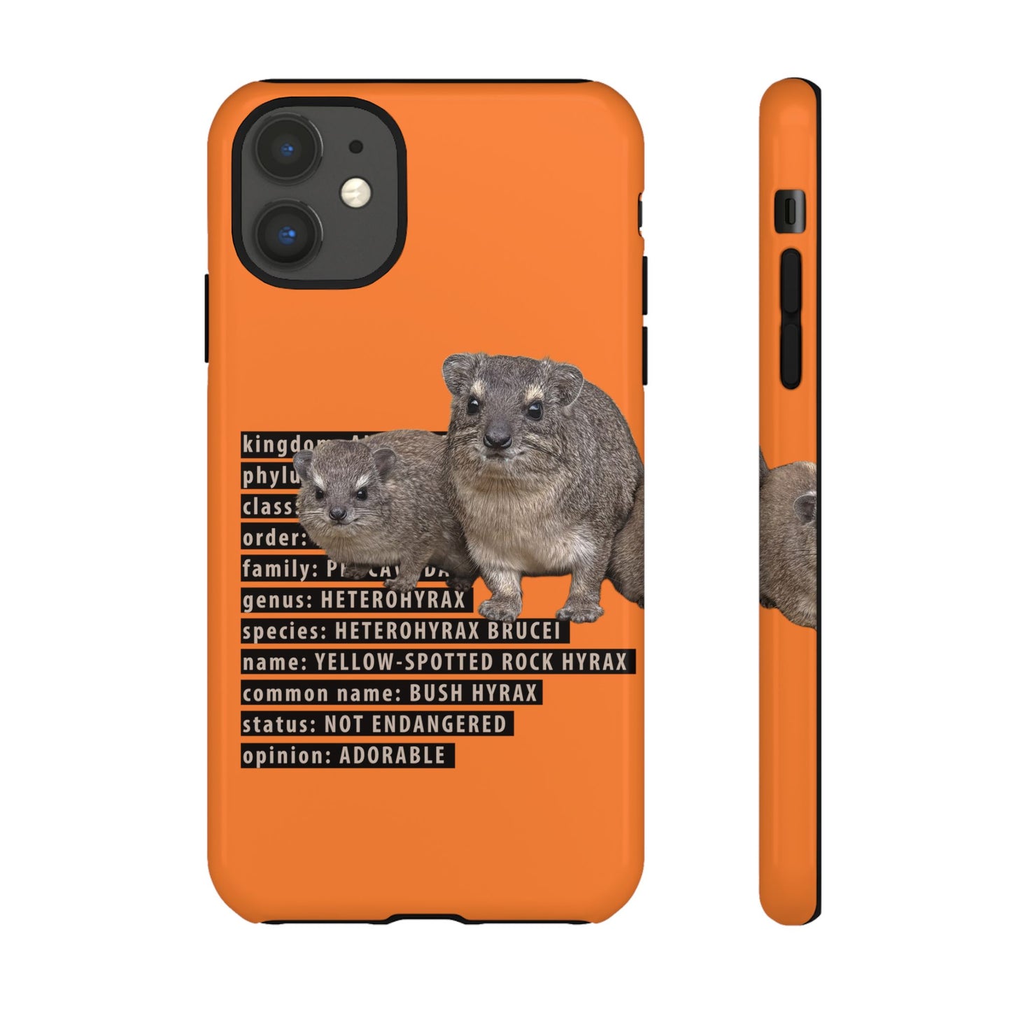 Hyrax Taxonomic Hierarchy Phone Cases