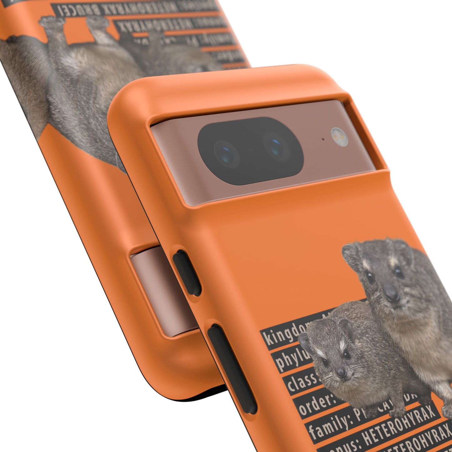 Hyrax Taxonomic Hierarchy Phone Cases