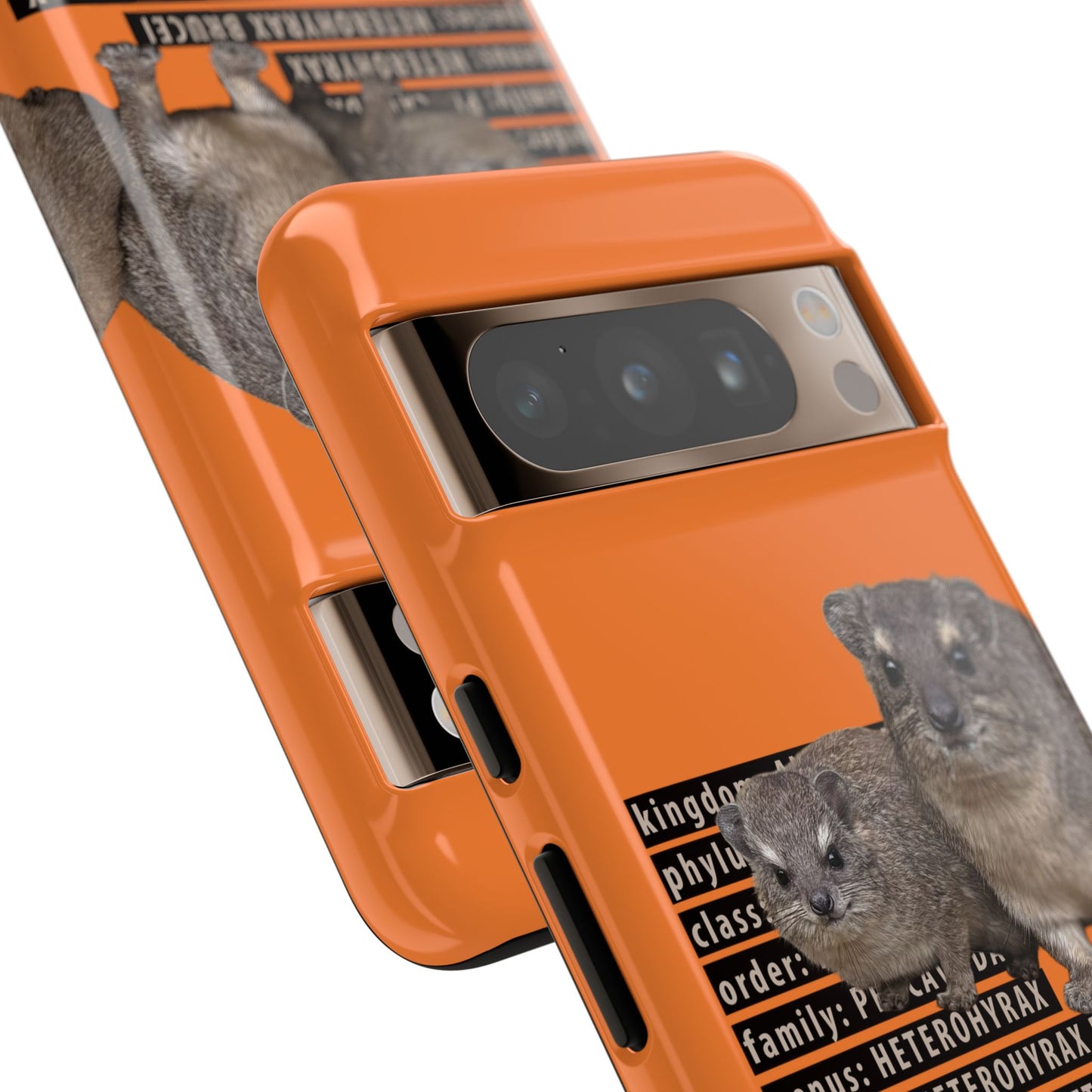 Hyrax Taxonomic Hierarchy Phone Cases