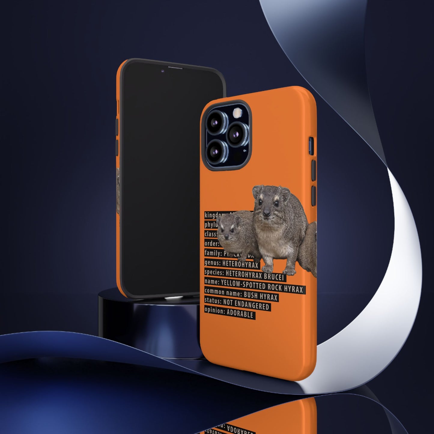 Hyrax Taxonomic Hierarchy Phone Cases
