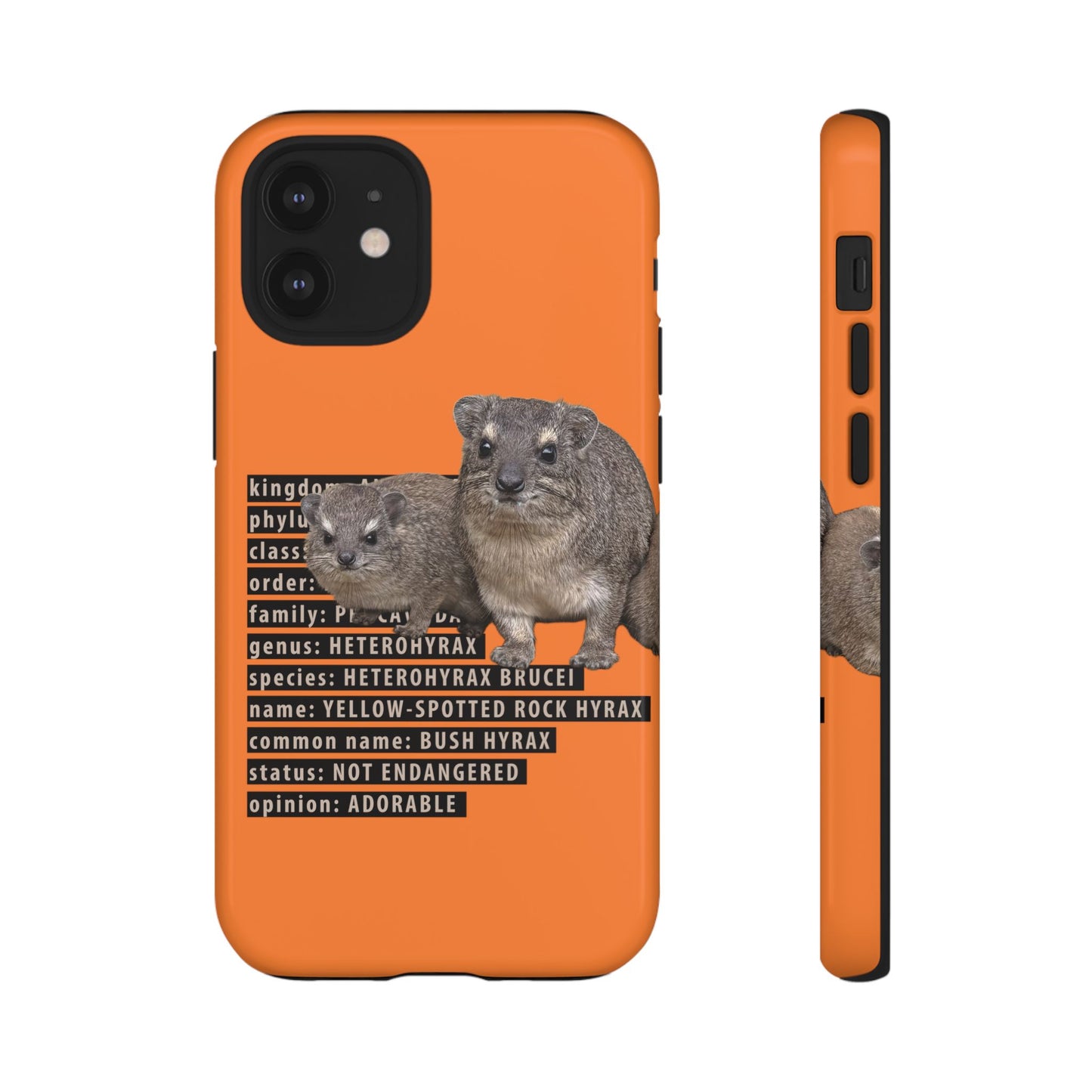 Hyrax Taxonomic Hierarchy Phone Cases