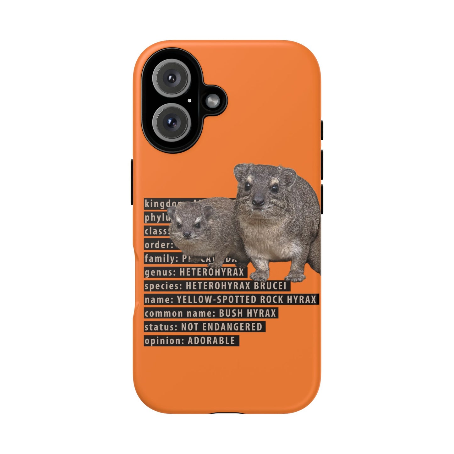 Hyrax Taxonomic Hierarchy Phone Cases
