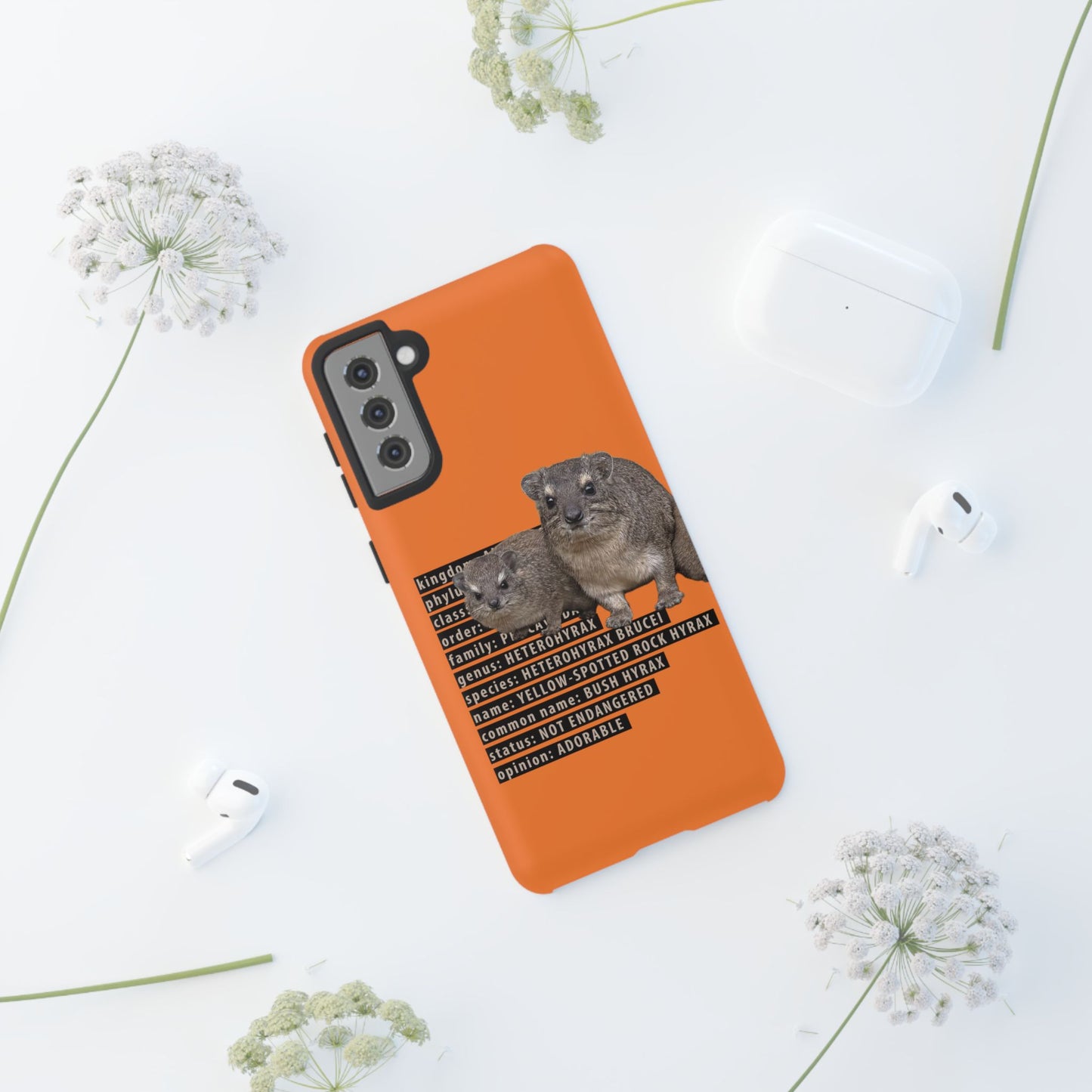 Hyrax Taxonomic Hierarchy Phone Cases