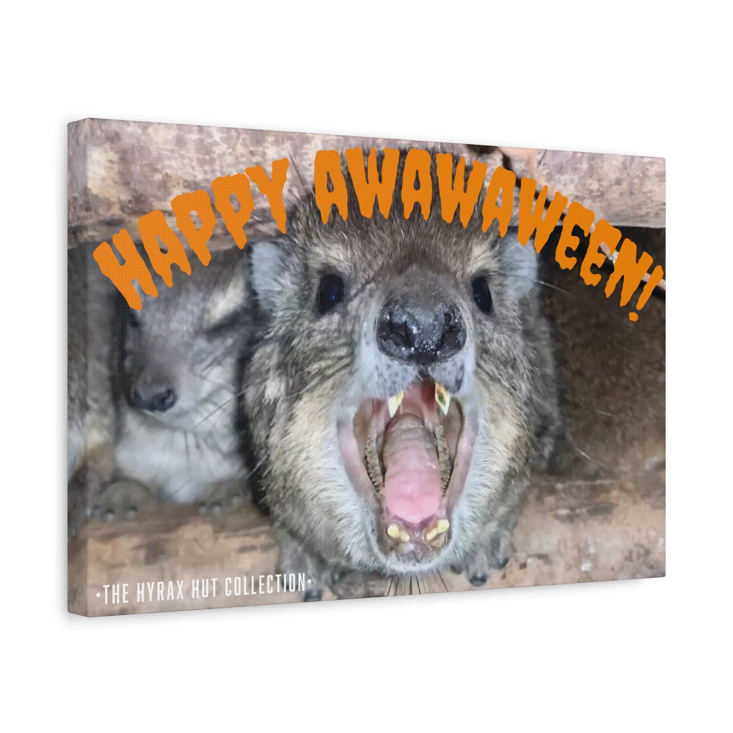Hyrax Scream Print Wall Art, Halloween, Matte Canvas Photo, Awawa Extreme, Unique Home Decor, Wall Art for Animal Enthusiasts,